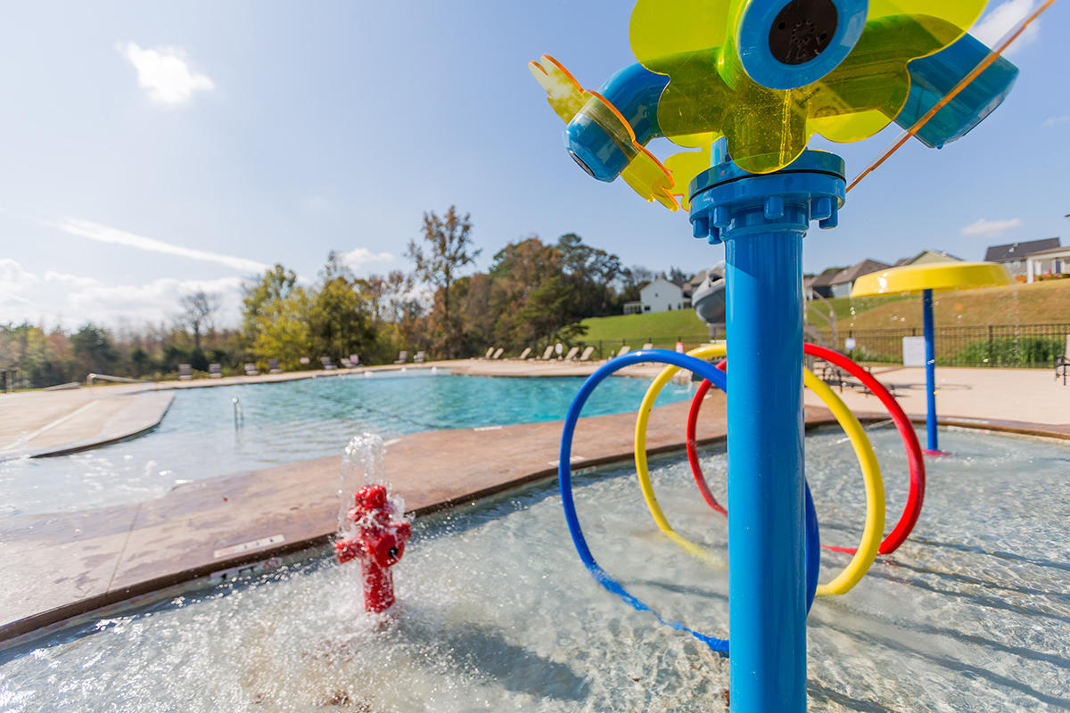 3526 Haystack Lane, Unit 61 Apison, TN 37302 - Photo 15 of 17 MF Pool_flowerspout
