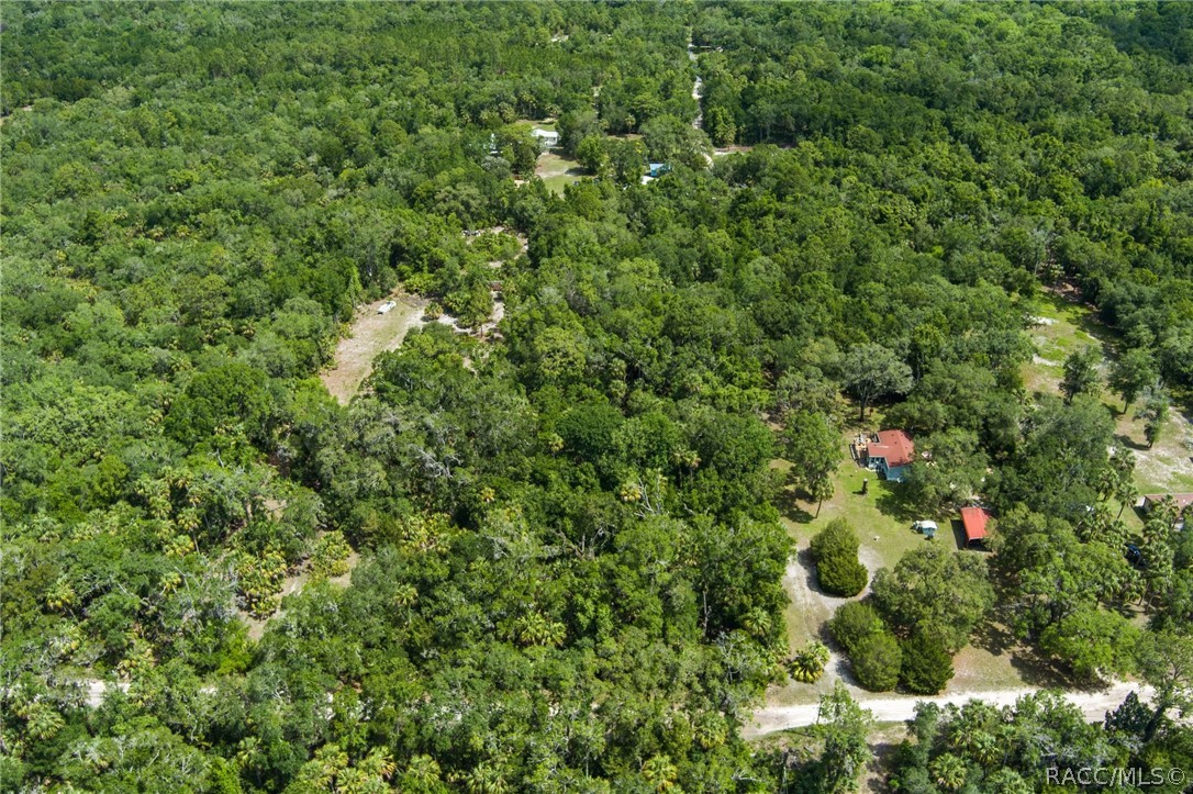 15085 West Rooster Crows Road Inglis, FL 34449 - Photo 2 of 16