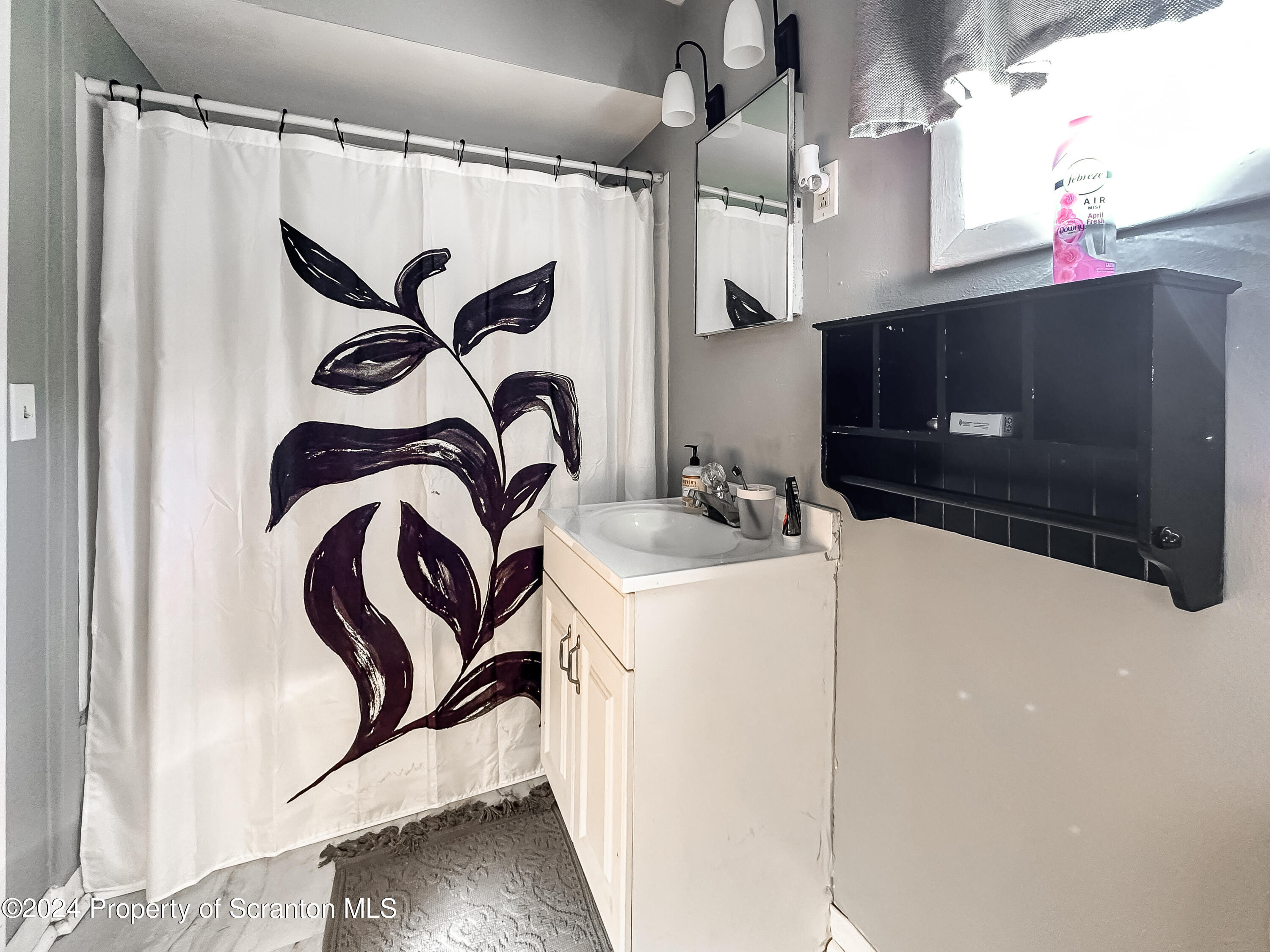218 Hand Street Jessup, PA 18434 - Photo 15 of 32 a bathroom with a sink a mirror and a shower