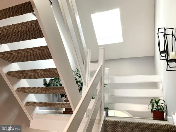 a view of staircase with white walls and a potted plant