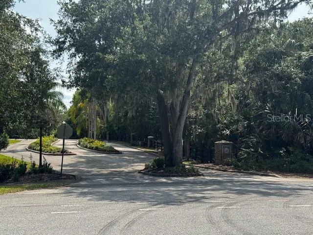 a view of a yard with tree s