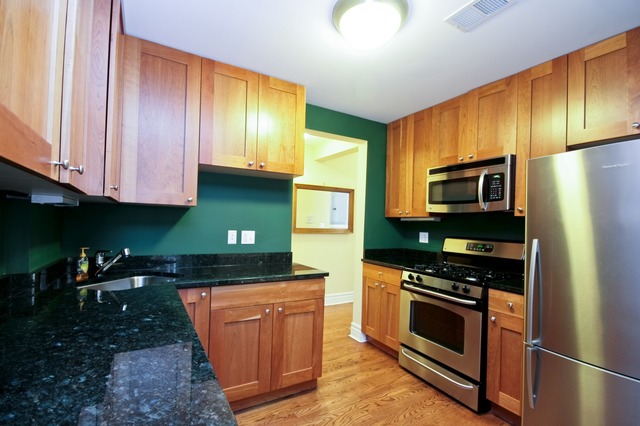 3741 North Fremont Street, Unit 2 Chicago, IL 60613 - Photo 4 of 9