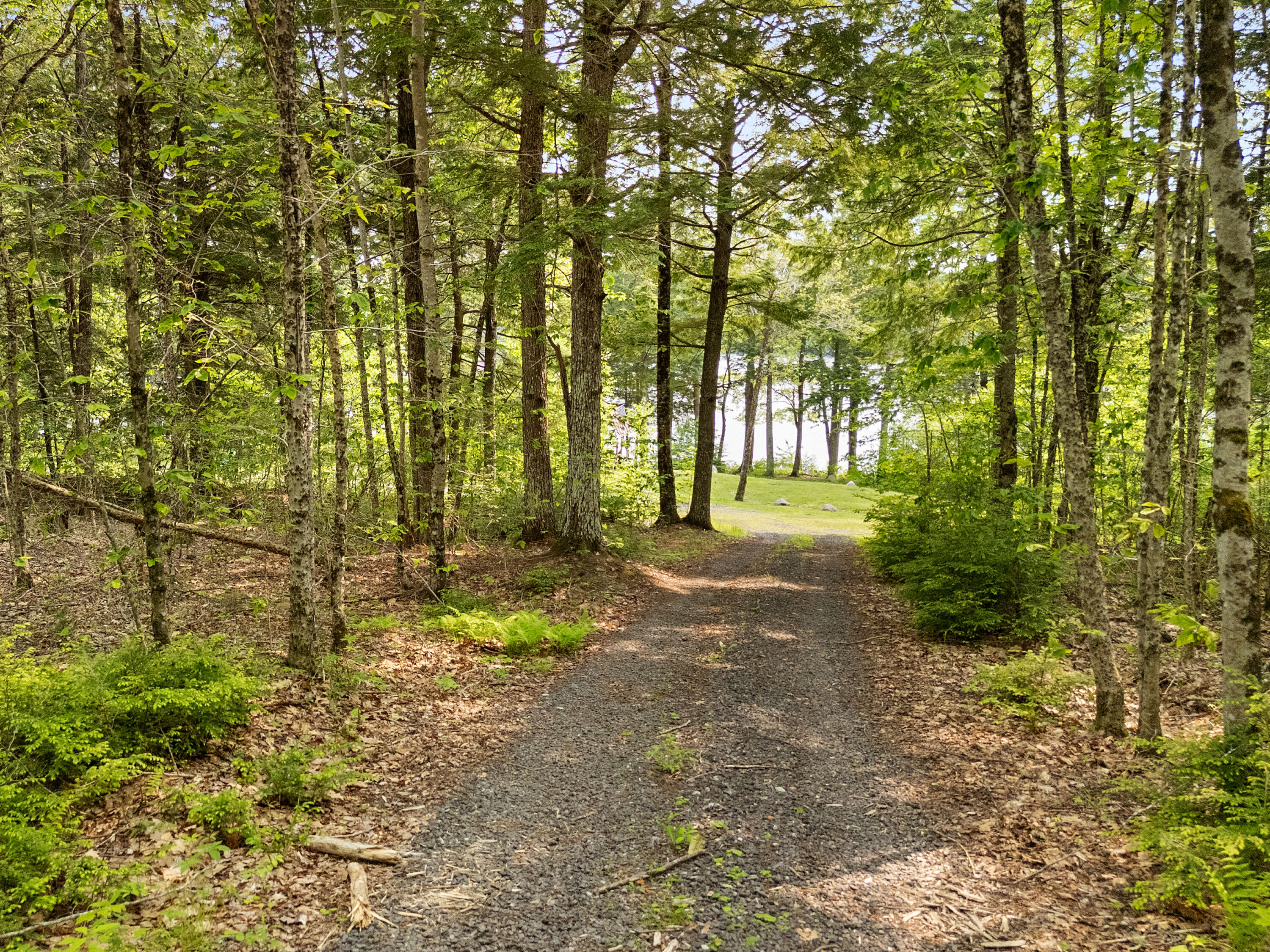 660 Sprague Road Waldoboro, ME 04572 - Photo 40 of 91 DJI_20250604152952_0485_D