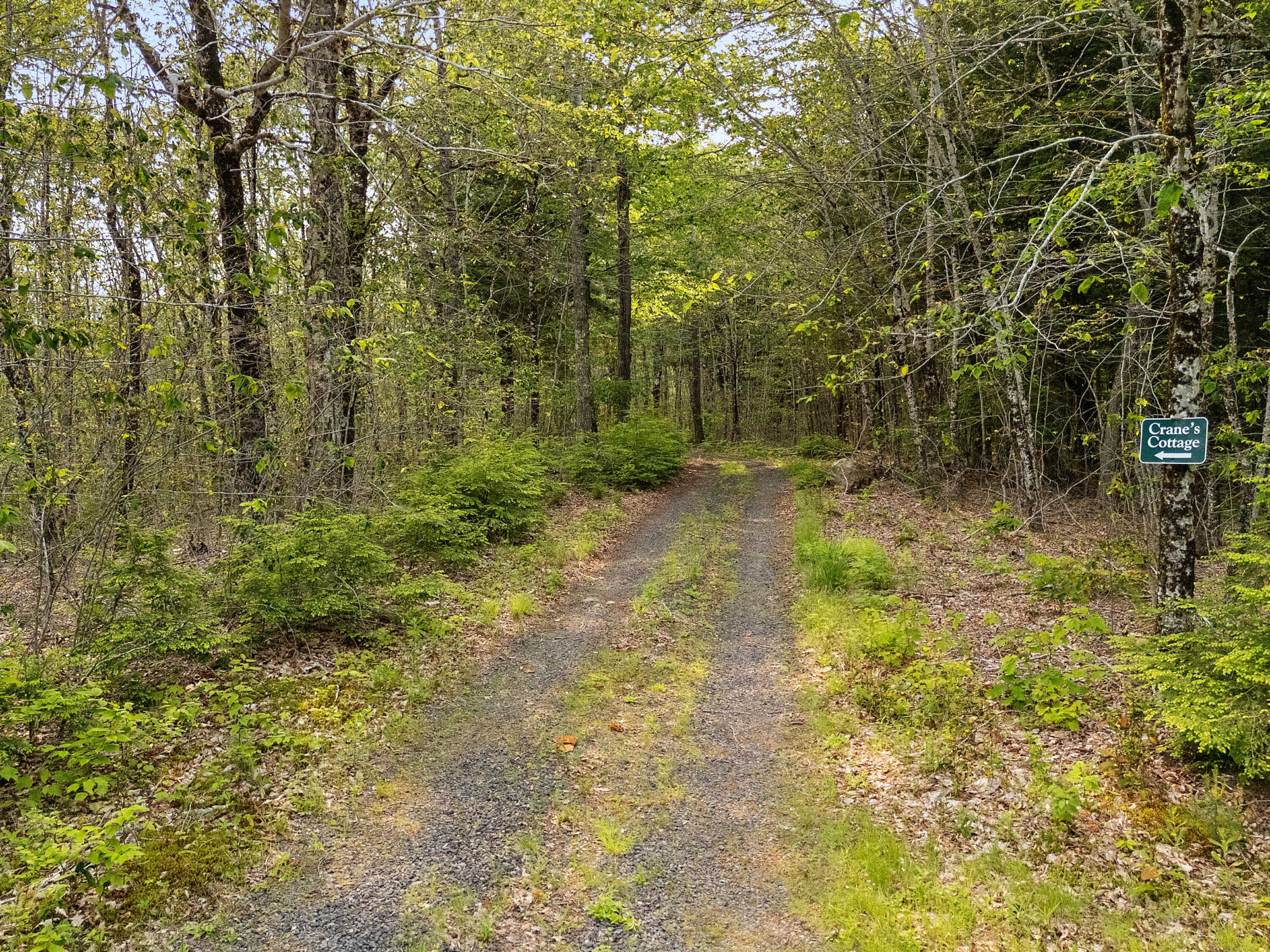 660 Sprague Road Waldoboro, ME 04572 - Photo 56 of 91 DJI_20250604160935_0503_D