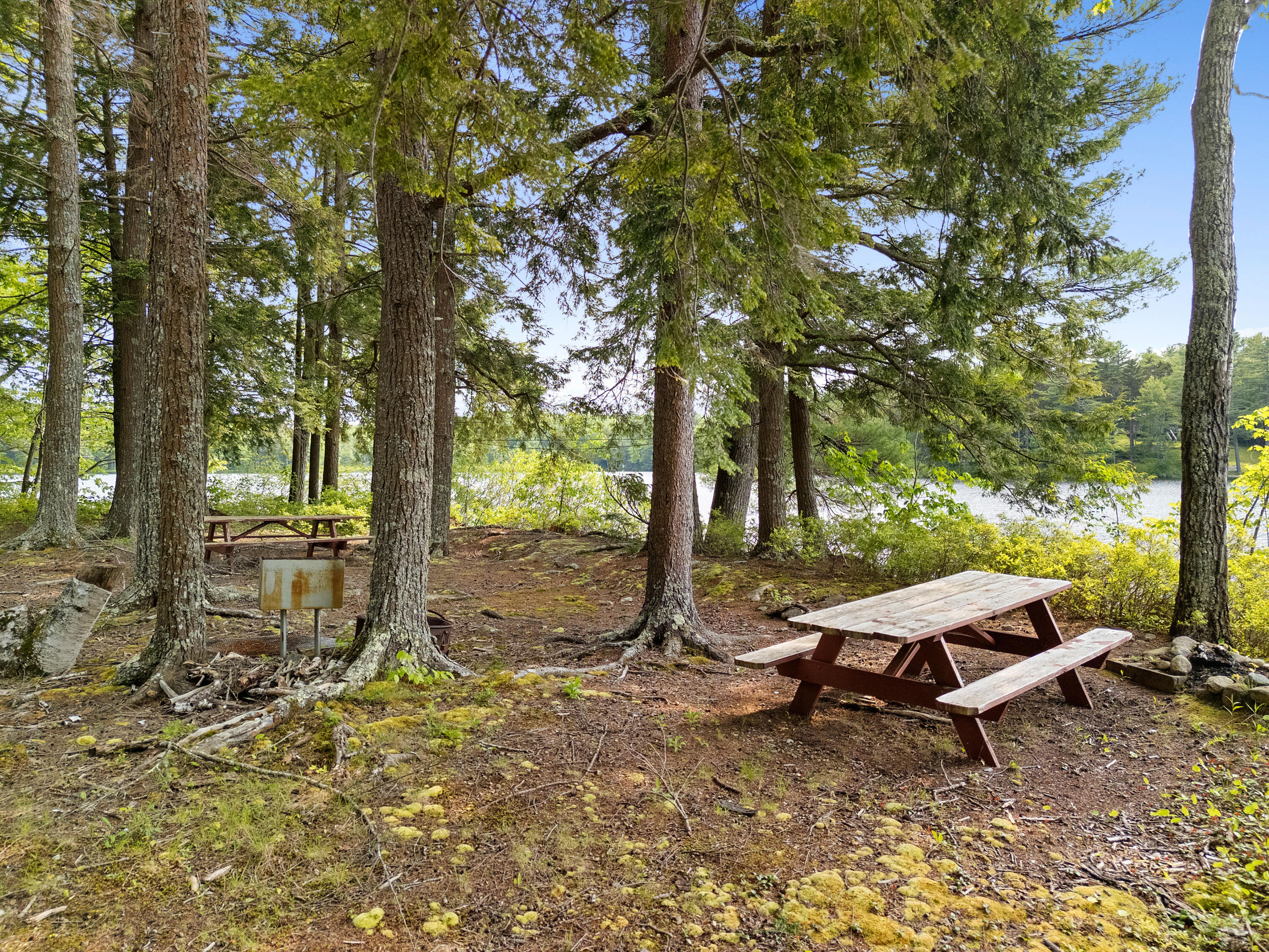 660 Sprague Road Waldoboro, ME 04572 - Photo 62 of 91 DJI_20250604145220_0267_D