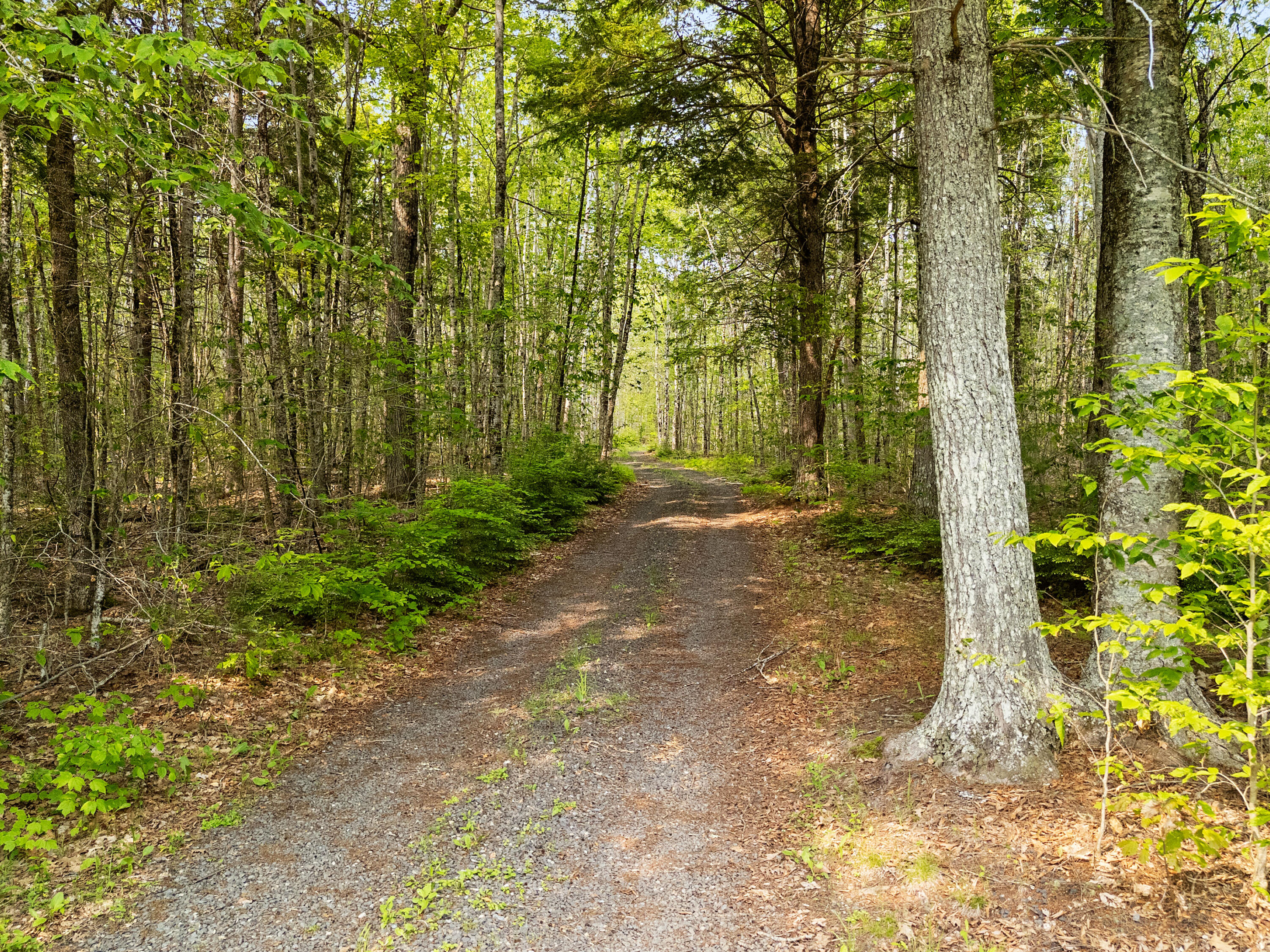 660 Sprague Road Waldoboro, ME 04572 - Photo 67 of 91 DJI_20250604152927_0479_D