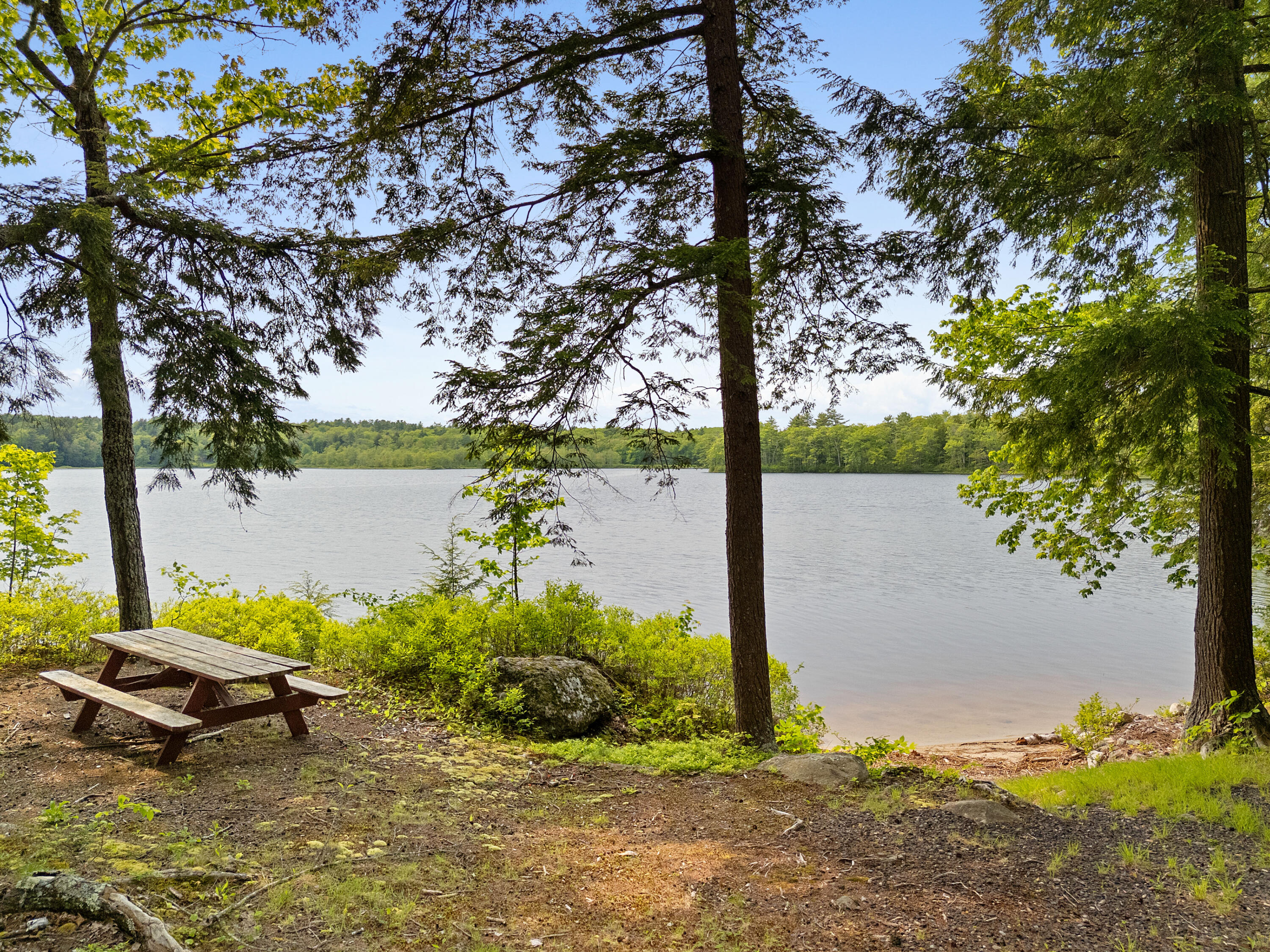 660 Sprague Road Waldoboro, ME 04572 - Photo 69 of 91 DJI_20250604145241_0272_D