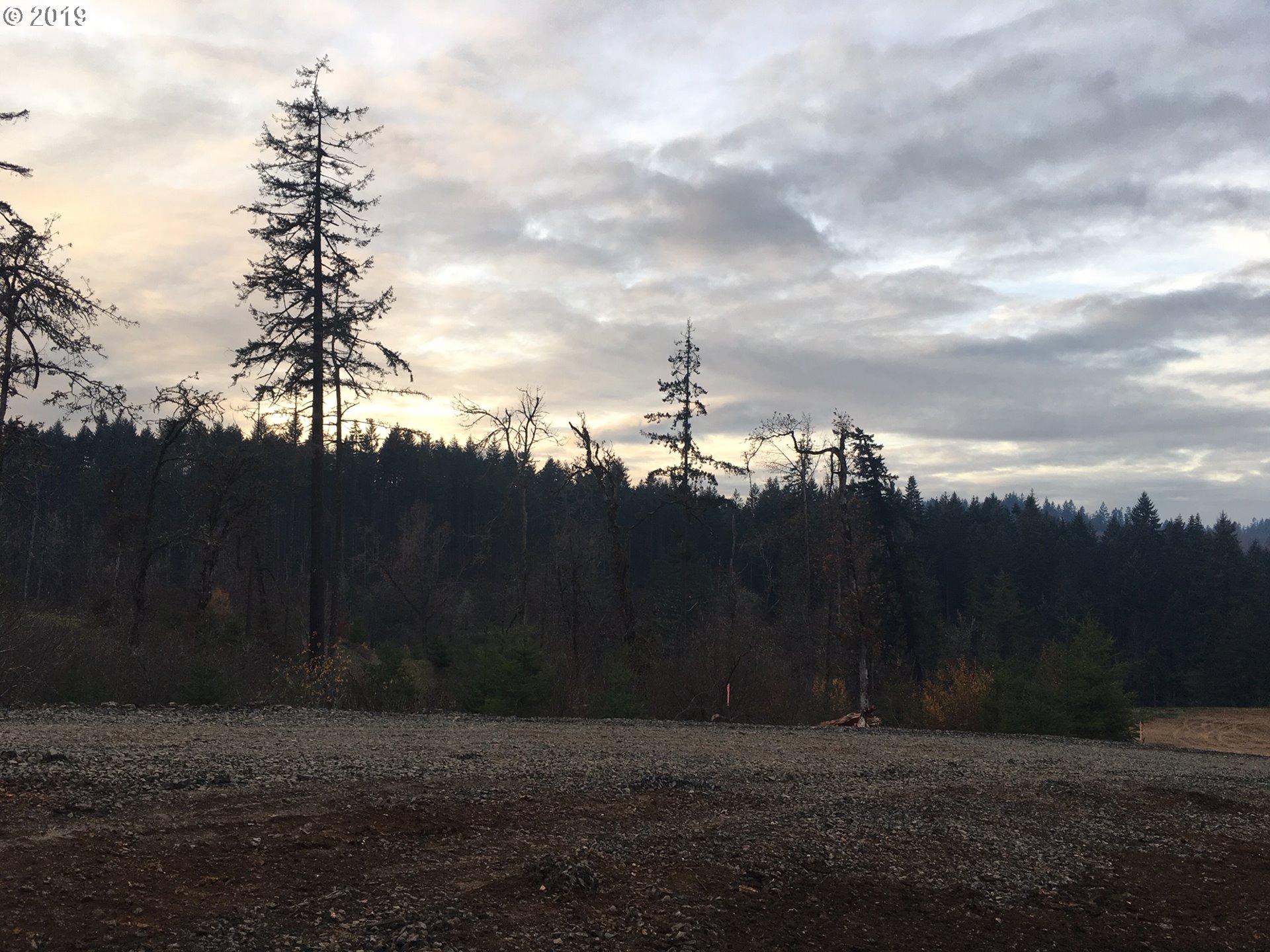 Gonyea Road Eugene, OR 97405 - Photo 3 of 6