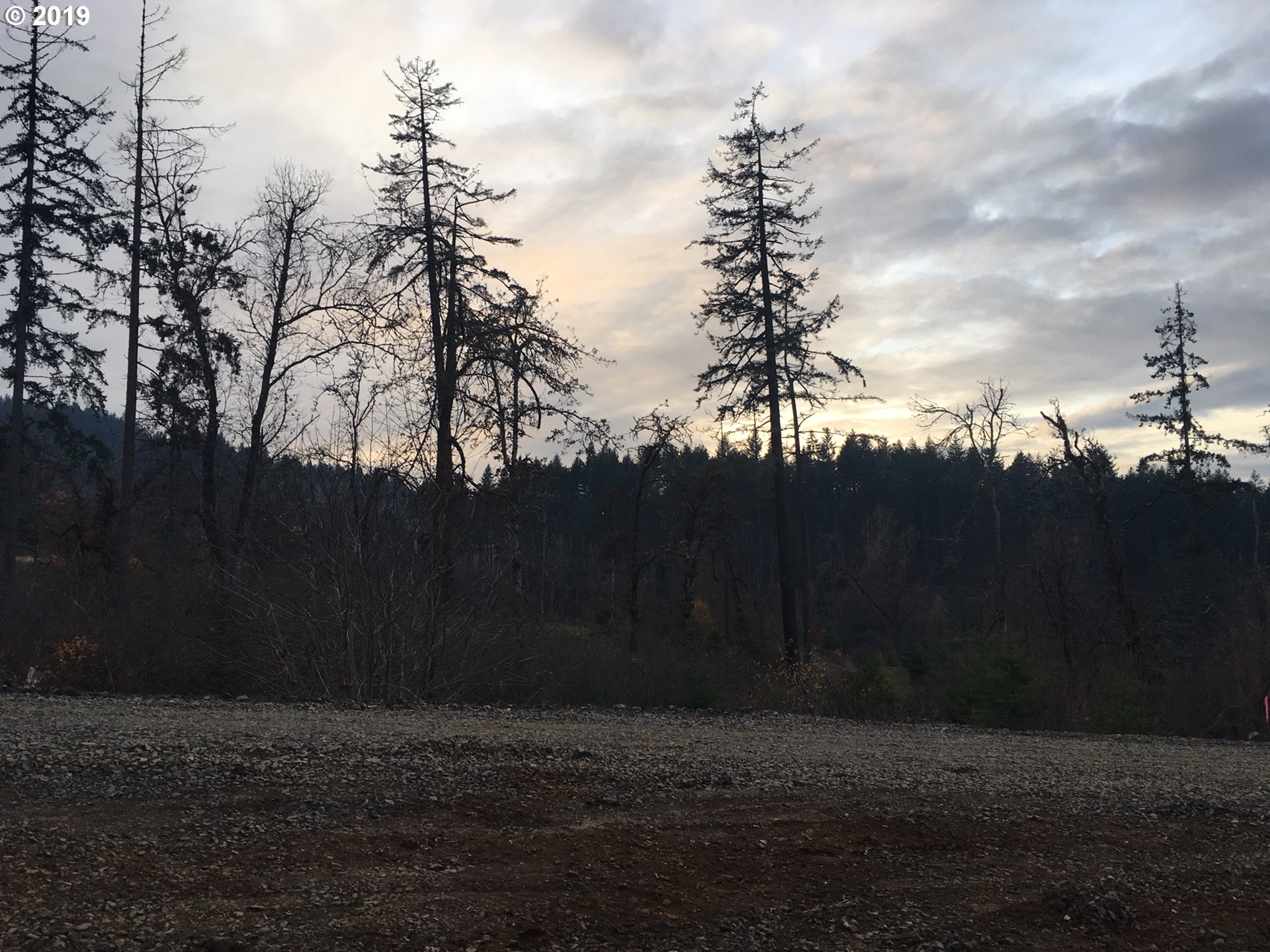 Gonyea Road Eugene, OR 97405 - Photo 4 of 6