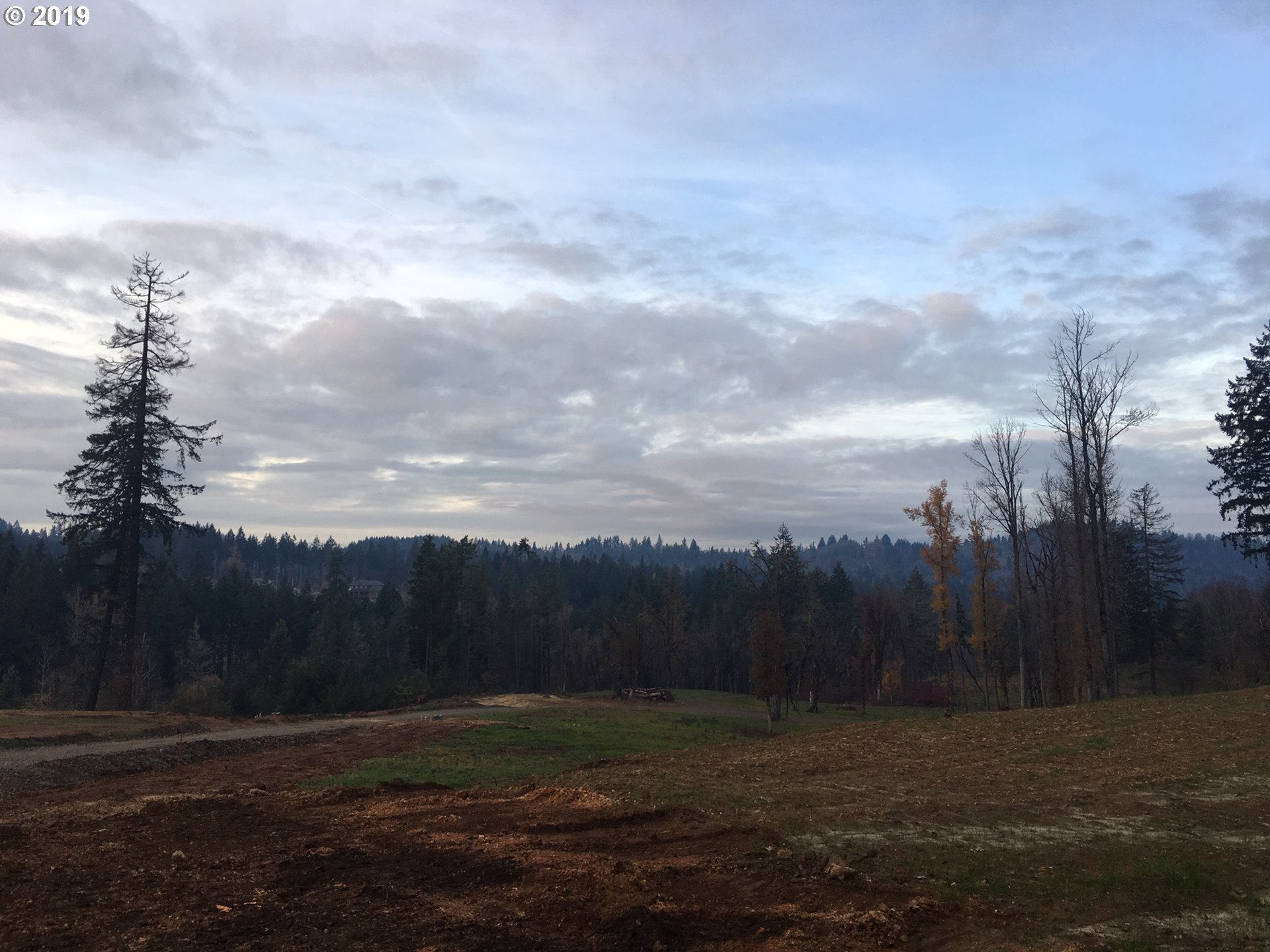 Gonyea Road Eugene, OR 97405 - Photo 5 of 6