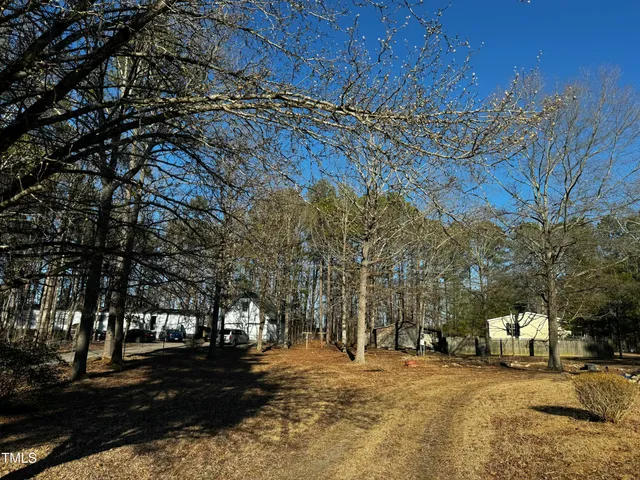 a view of a yard with a tree