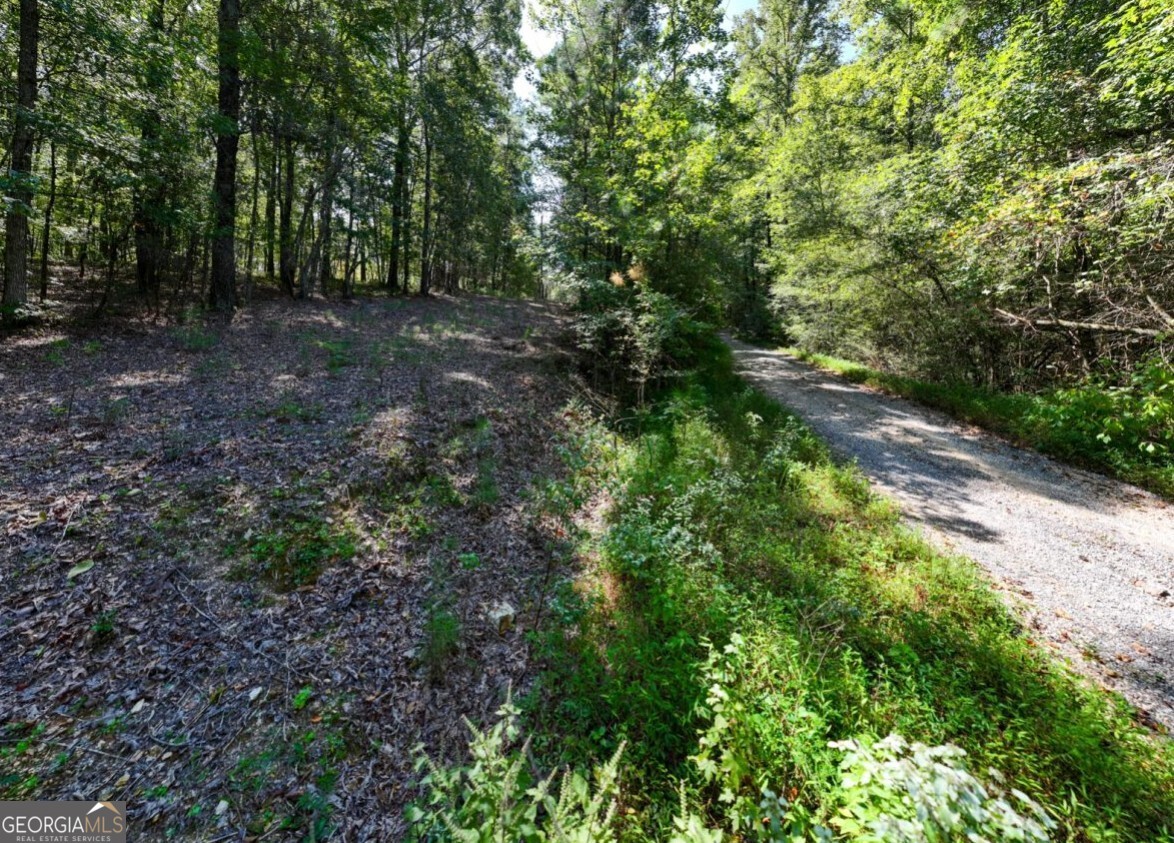 0 Bogan Road McCalla, AL 35111 - Photo 11 of 22 a view of a forest with trees in the background