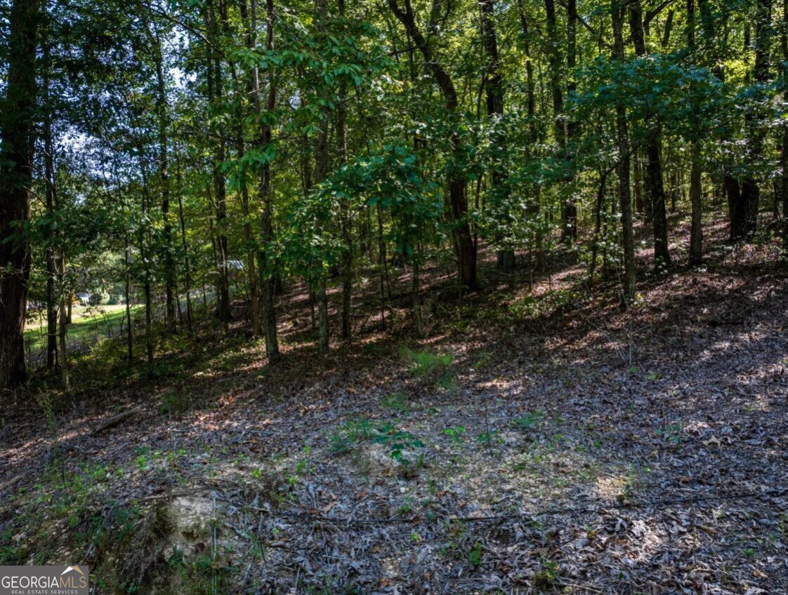 0 Bogan Road McCalla, AL 35111 - Photo 12 of 22 a view of a forest with trees in the background