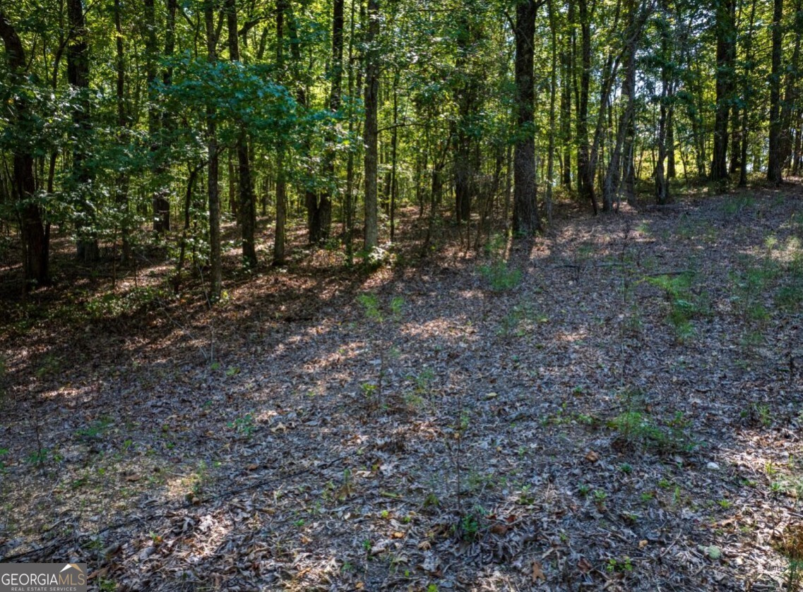 0 Bogan Road McCalla, AL 35111 - Photo 13 of 22 a view of outdoor space and green space