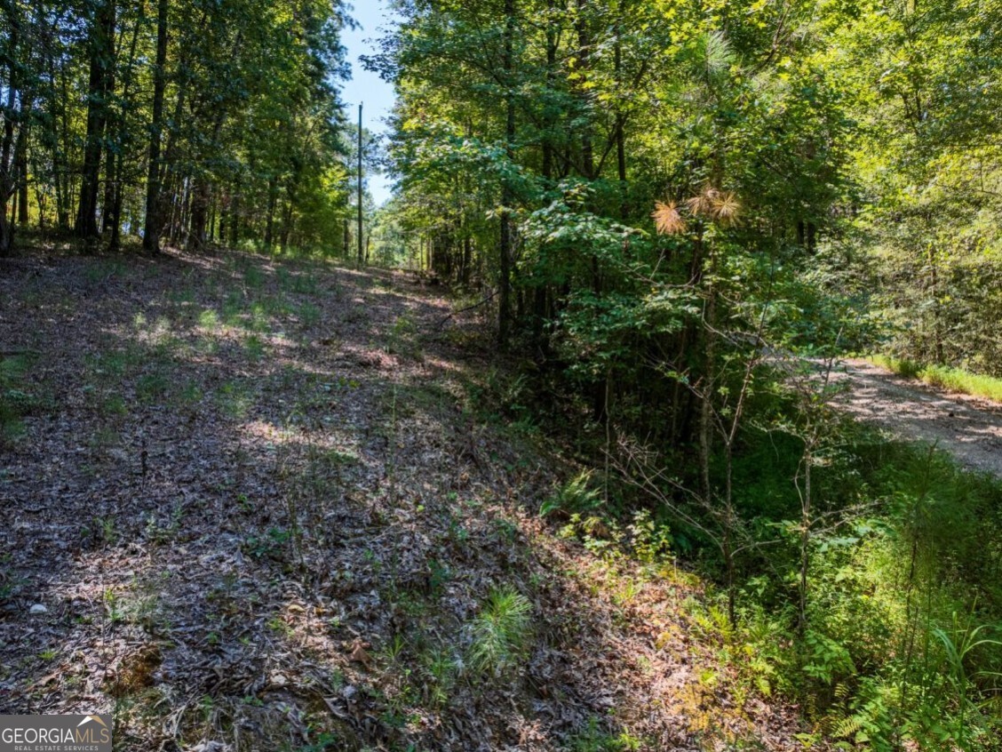 0 Bogan Road McCalla, AL 35111 - Photo 14 of 22 a view of a forest with trees in the background