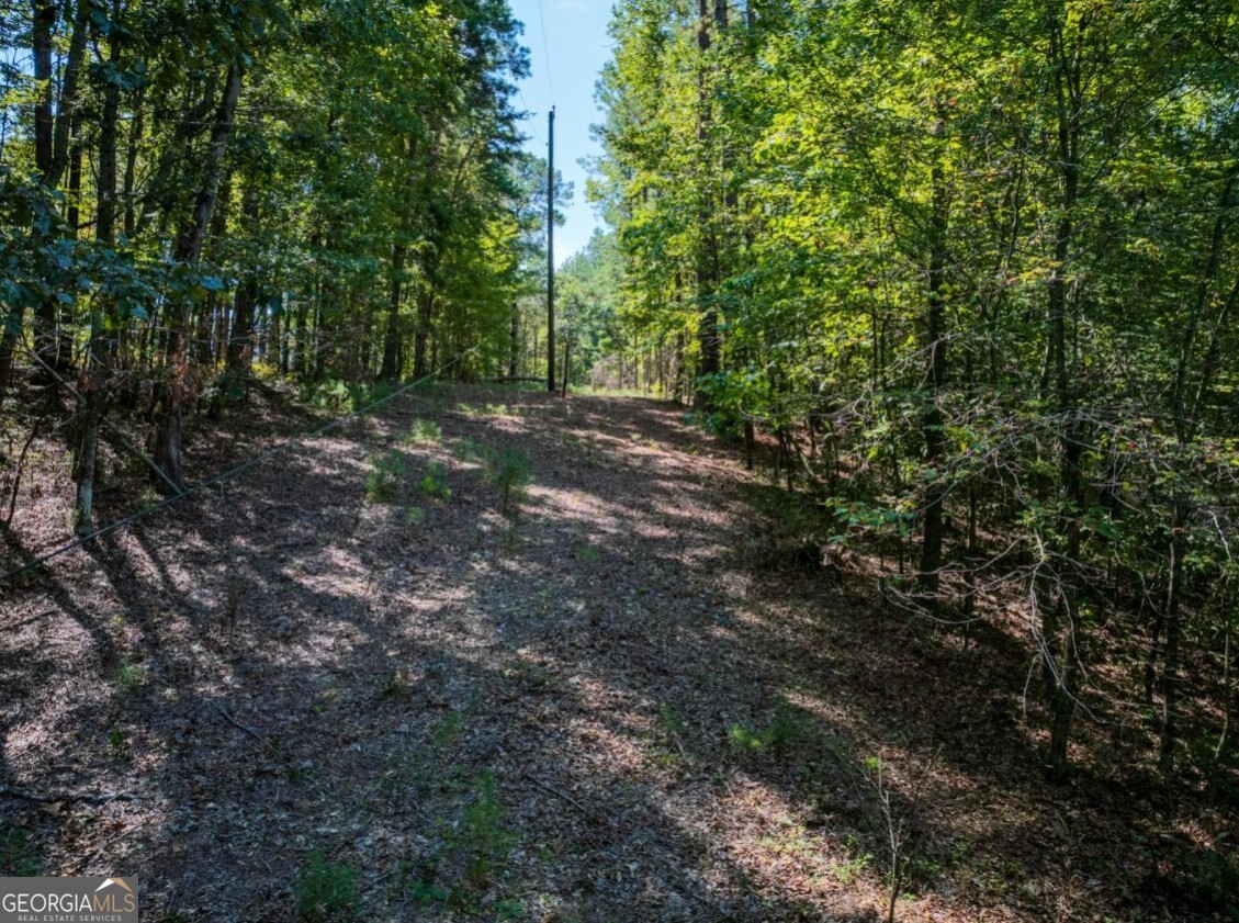0 Bogan Road McCalla, AL 35111 - Photo 15 of 22 a view of outdoor space and yard