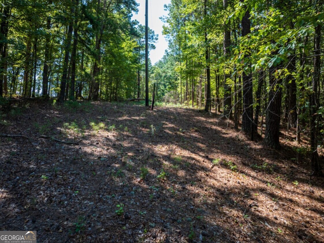 0 Bogan Road McCalla, AL 35111 - Photo 16 of 22 a view of outdoor space and yard