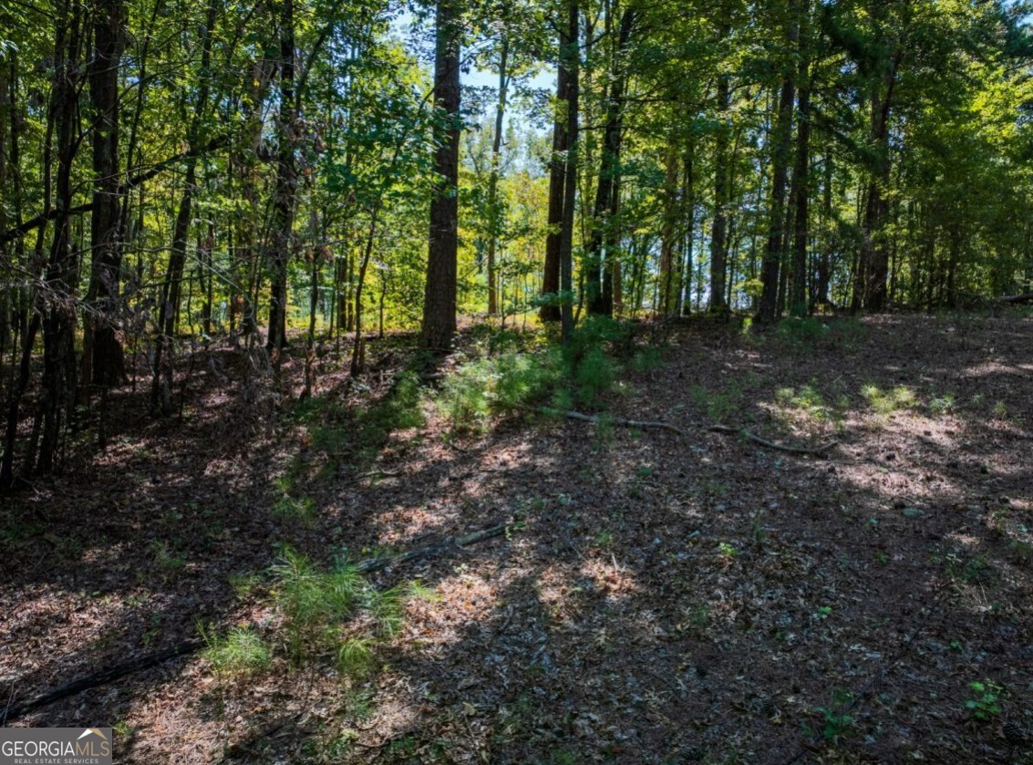 0 Bogan Road McCalla, AL 35111 - Photo 17 of 22 a view of outdoor space and trees