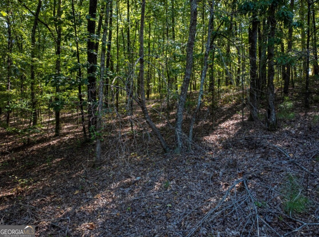 0 Bogan Road McCalla, AL 35111 - Photo 18 of 22 a view of a forest with trees in the background
