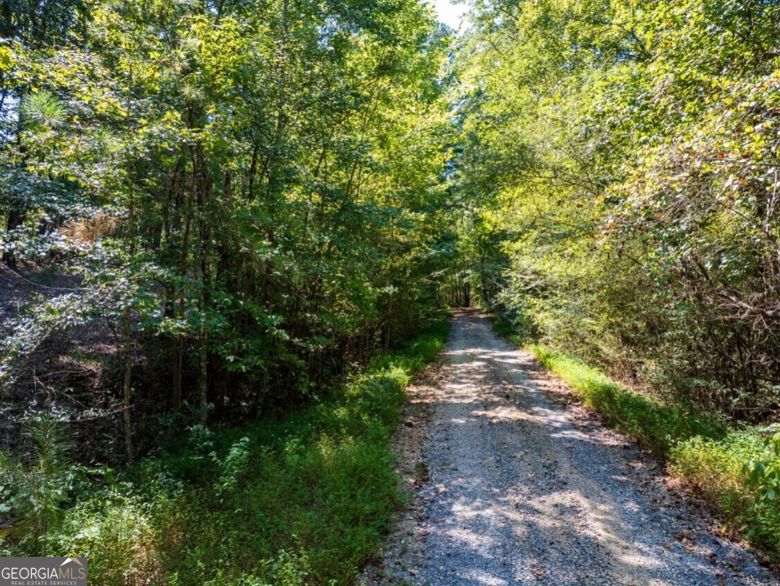 0 Bogan Road McCalla, AL 35111 - Photo 19 of 22 a view of a pathway both side of yard