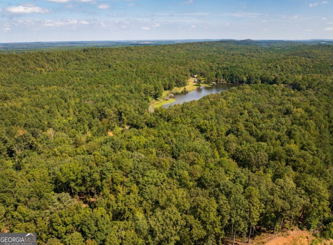0 Bogan Road McCalla, AL 35111 - Photo 3 of 22 a view of a field with an ocean beach