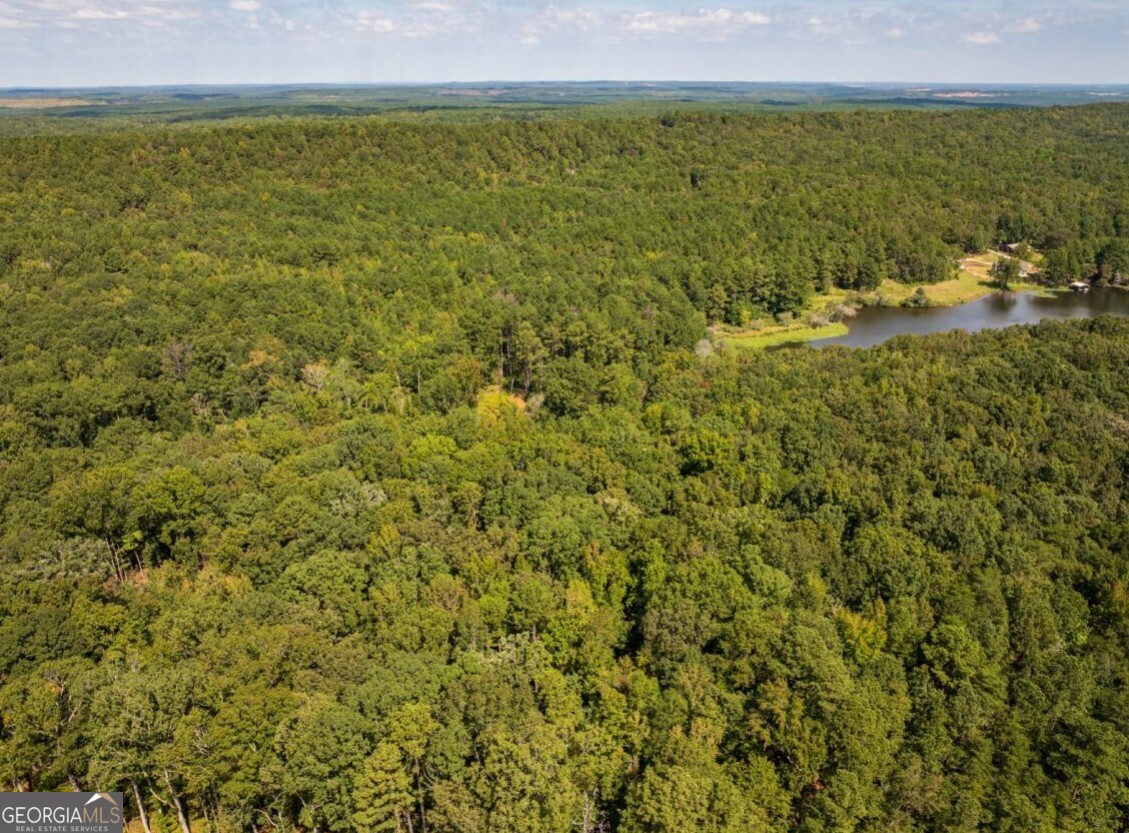 0 Bogan Road McCalla, AL 35111 - Photo 4 of 22 a view of ocean view