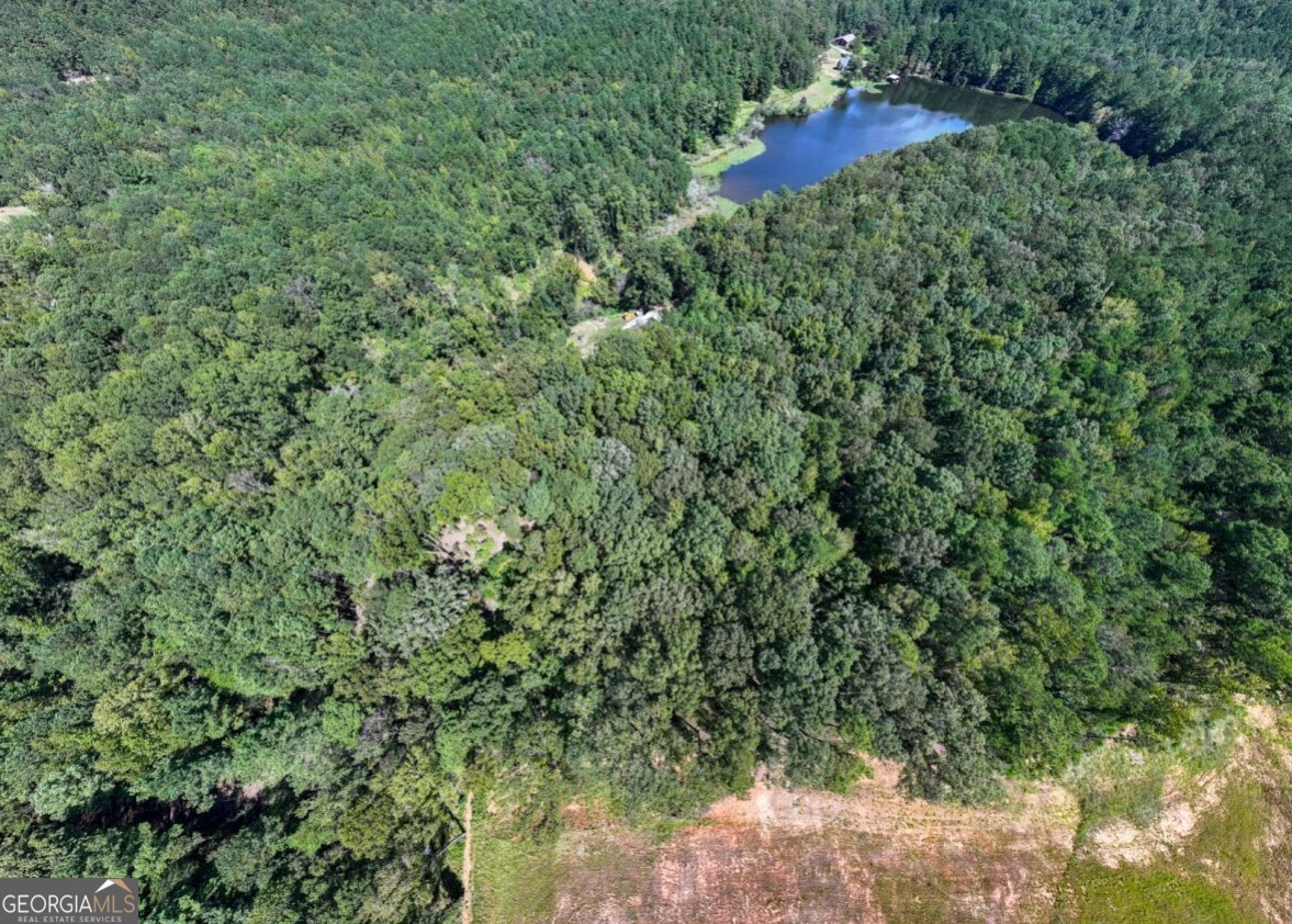 0 Bogan Road McCalla, AL 35111 - Photo 10 of 22 a view of a forest with a tree