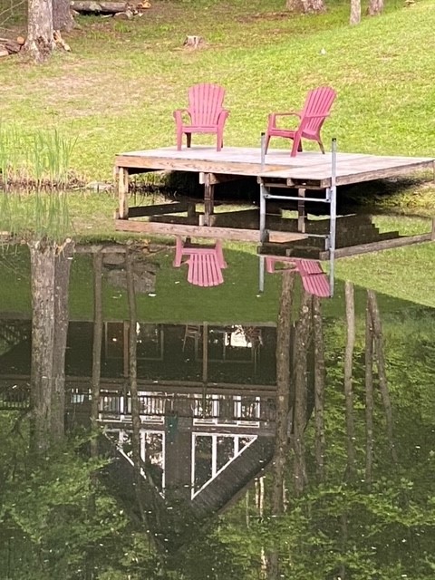 207 Pheasant Run Road Middlefield, NY 13326 - Photo 23 of 44 dock at the lower pond