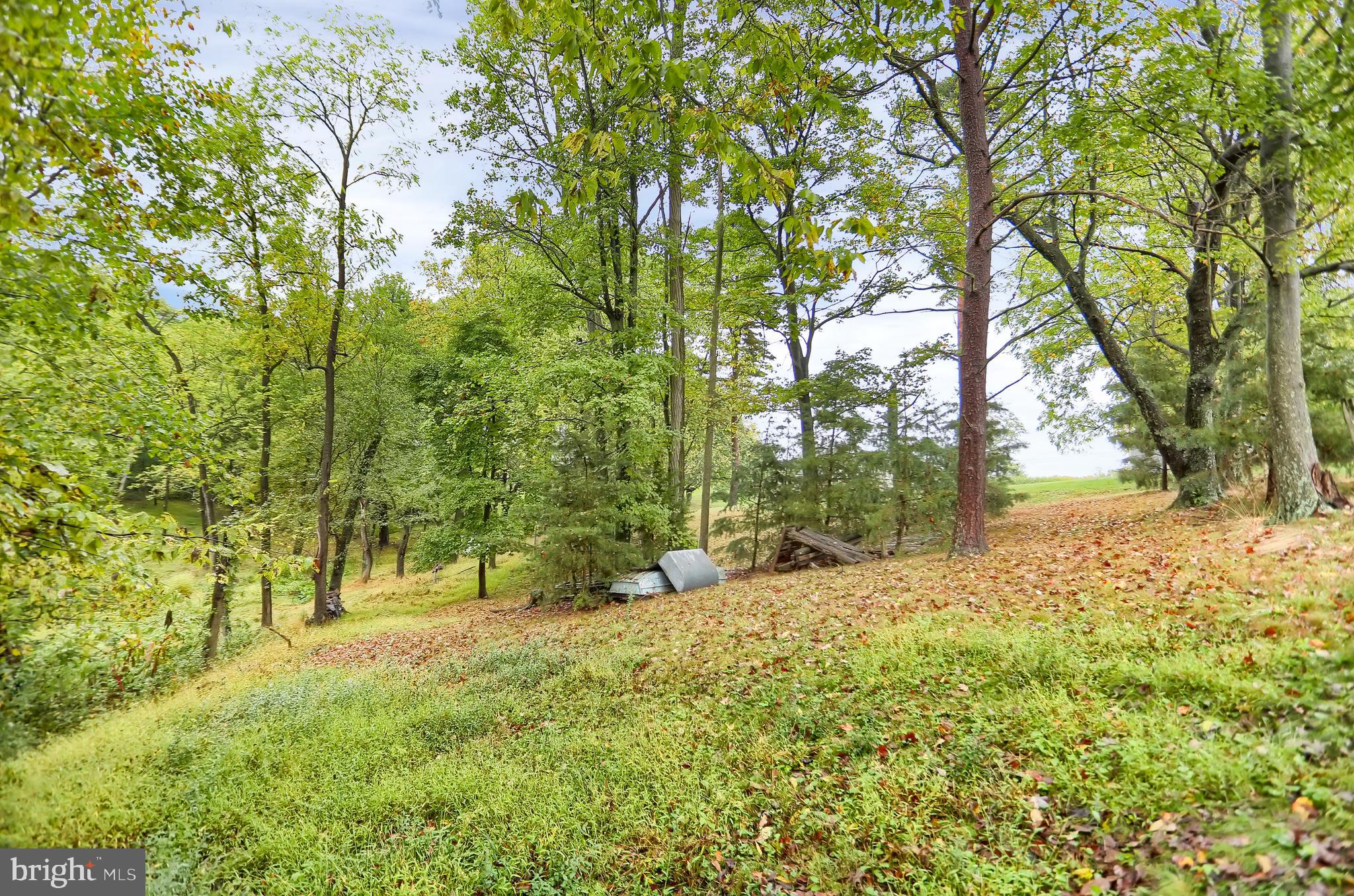345 Newport Road Duncannon, PA 17020 - Photo 56 of 63 Gallery Image 56