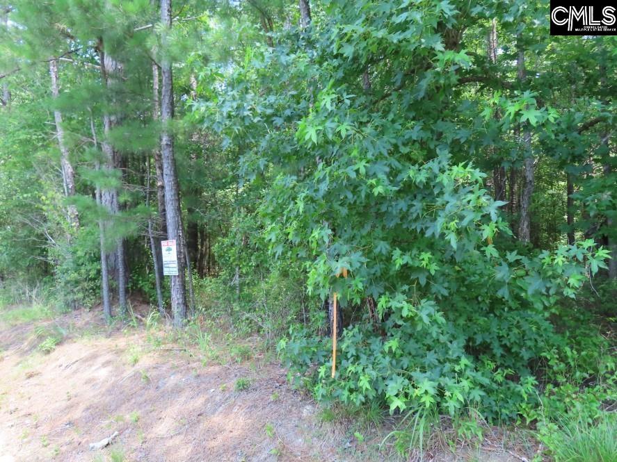 0 Park Road Ridgeway, SC 29130 - Photo 35 of 47
