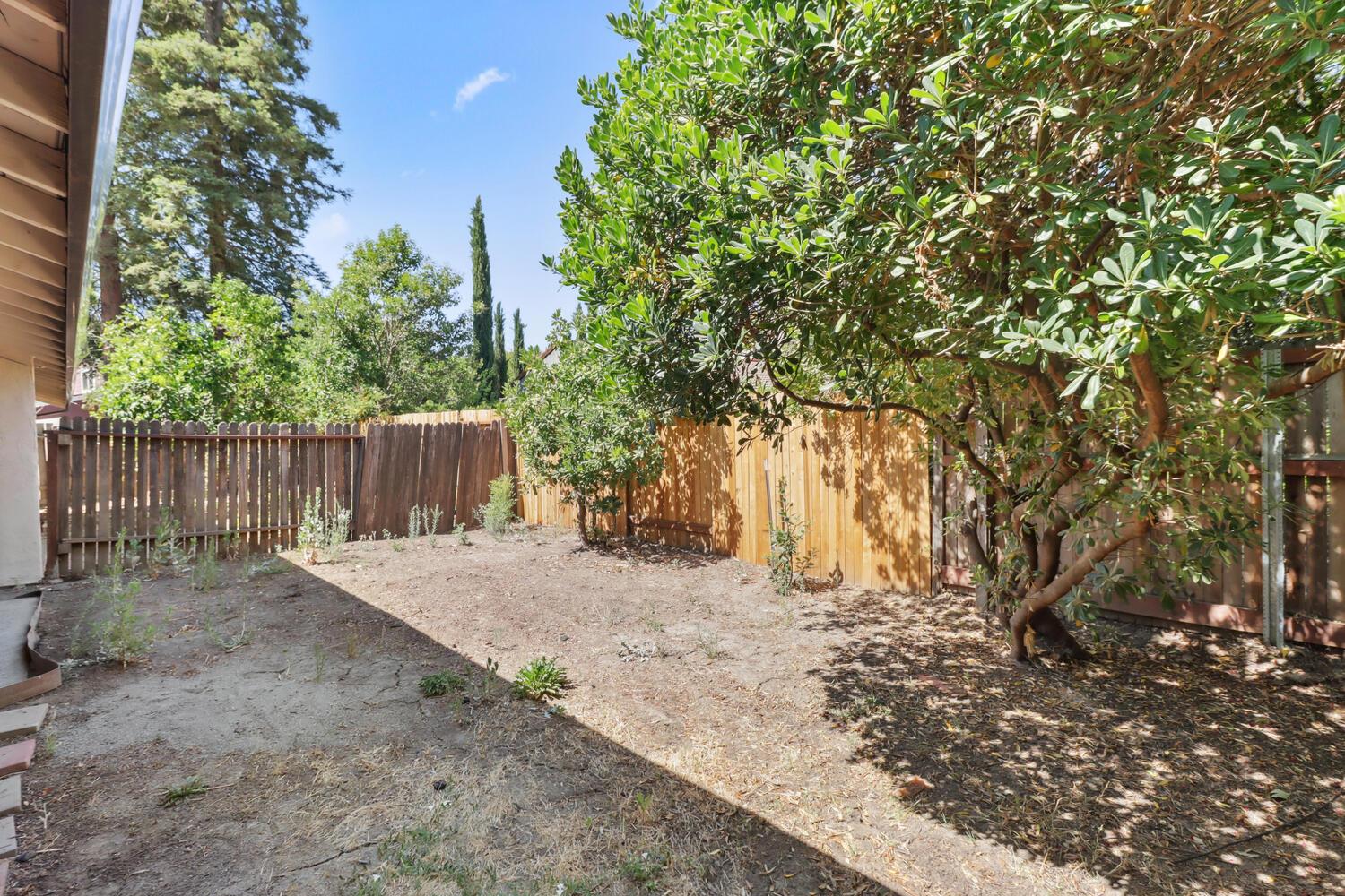 1213 Arthur Street Davis, CA 95616 - Photo 35 of 42 a backyard of a house with large trees and wooden fence