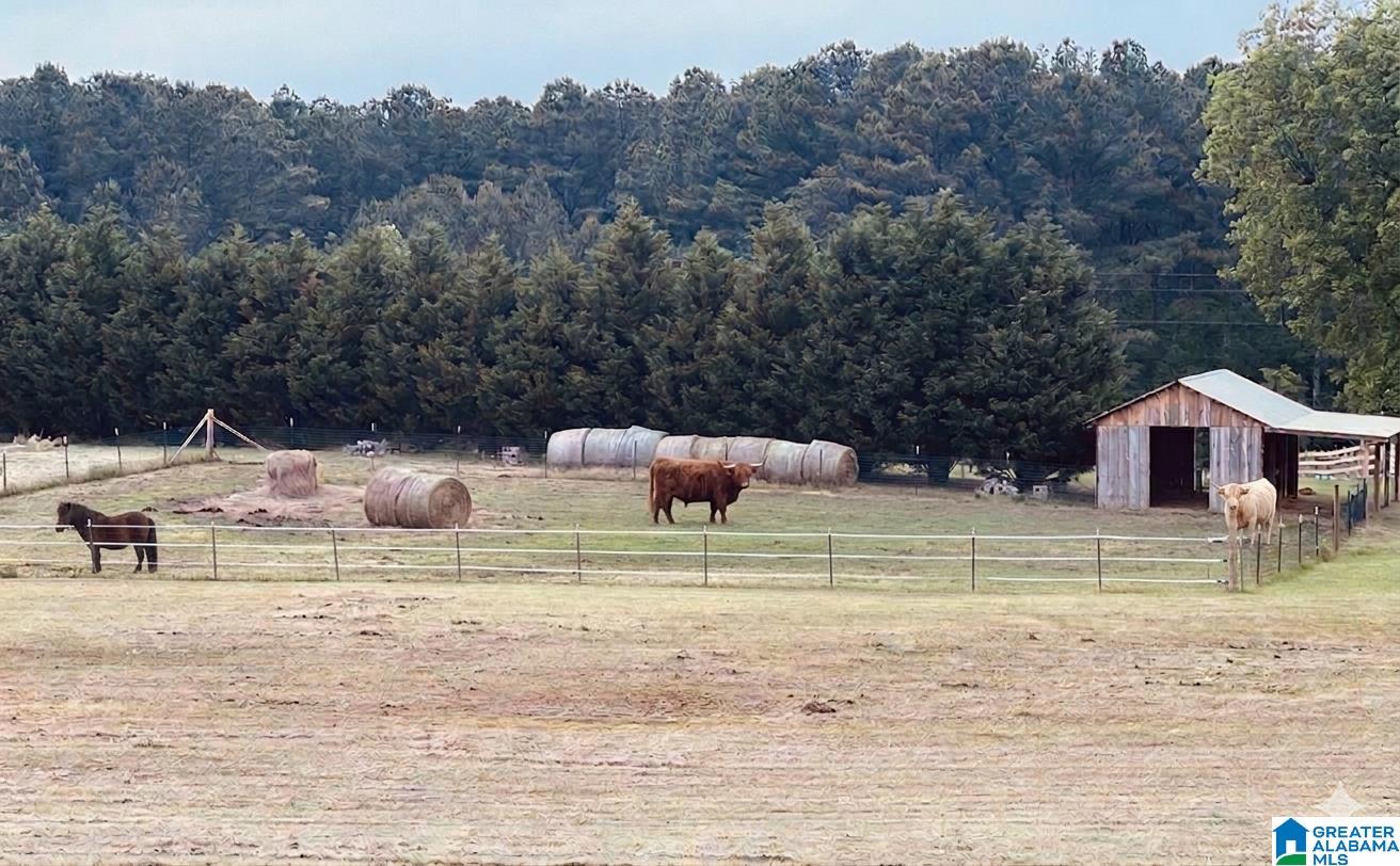 5743 County Highway 27 Springville, AL 35146 - Photo 24 of 46