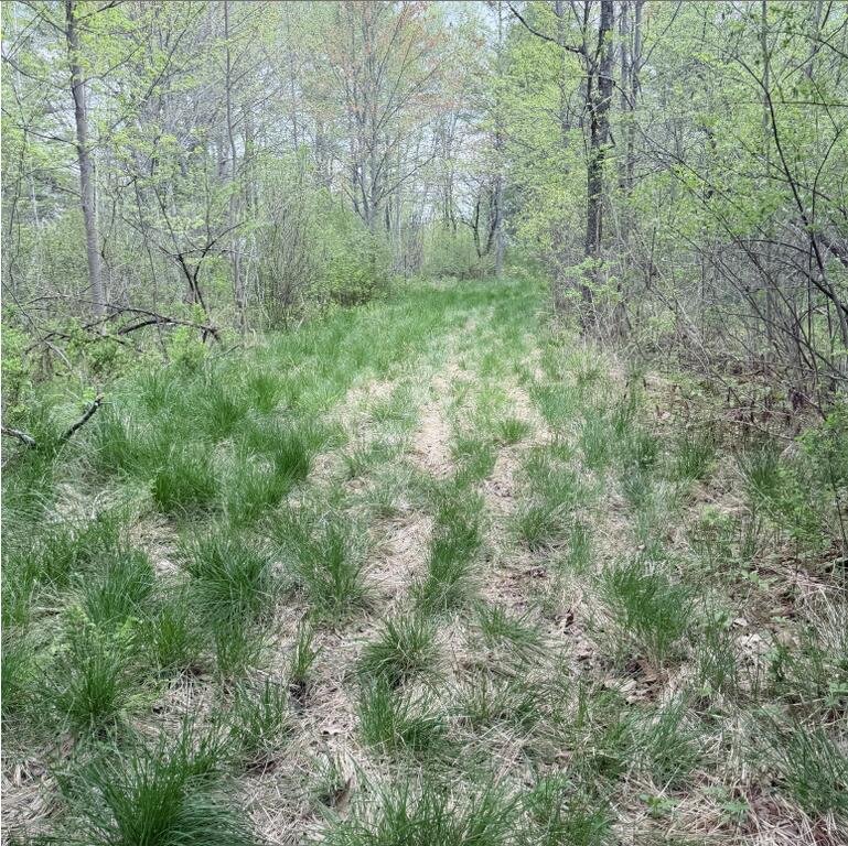 0 Constitution Avenue Hampden, ME 04444 - Photo 2 of 3 Screenshot 2026-05-20 142247 (Copy)