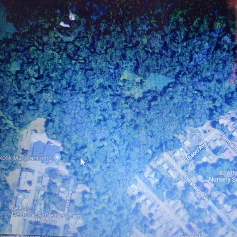 0 Perrin Avenue Seekonk, MA 02771 - Photo 1 of 1 a close up of a tree