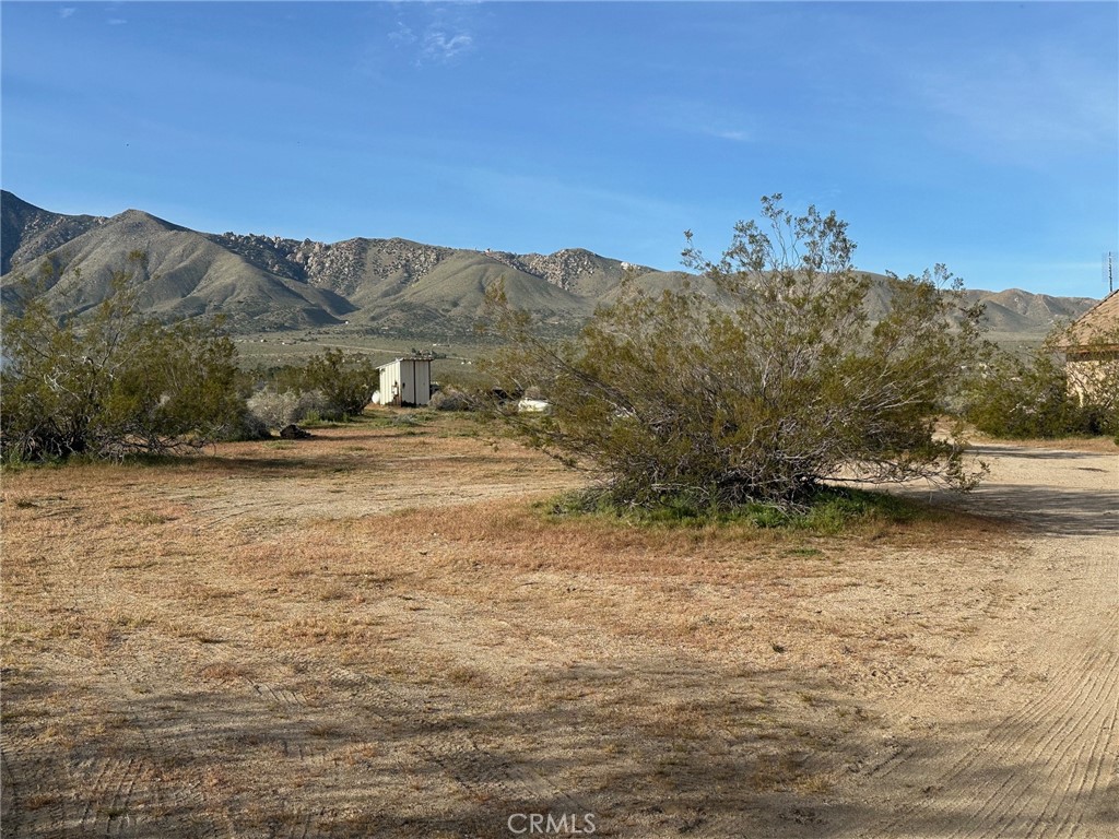 9772 Alamo Road Lucerne Valley, CA 92356 - Photo 16 of 24
