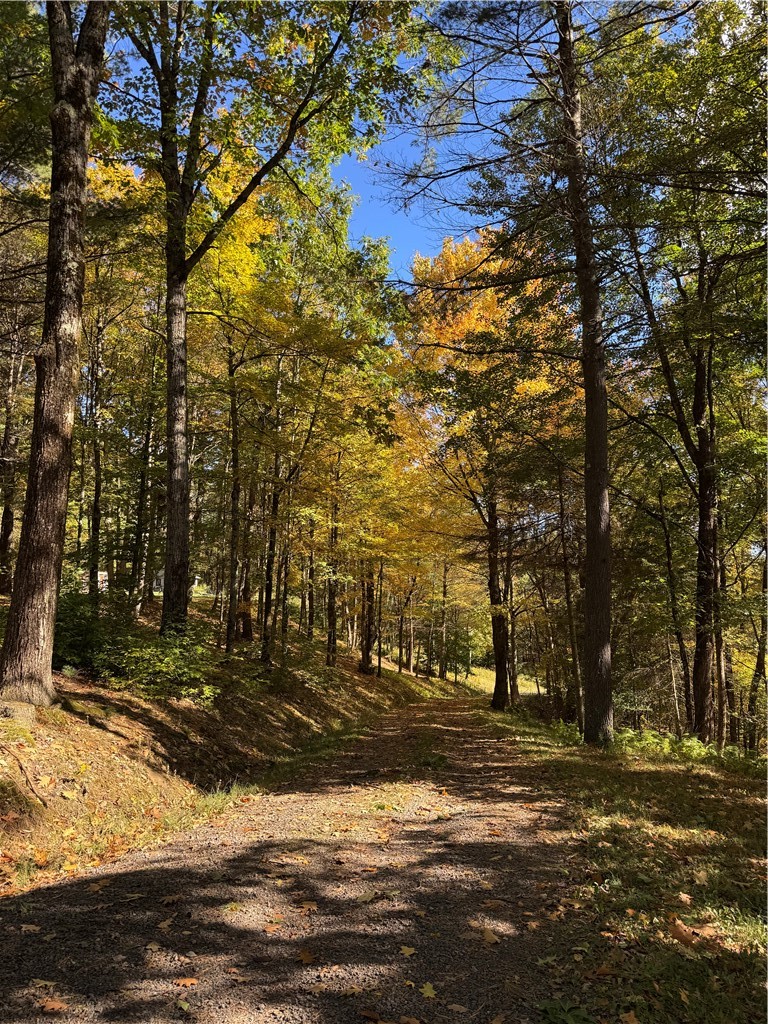 335-339 Arnold Lake Road Hartwick, NY 13807 - Photo 35 of 35 Gallery Image 35