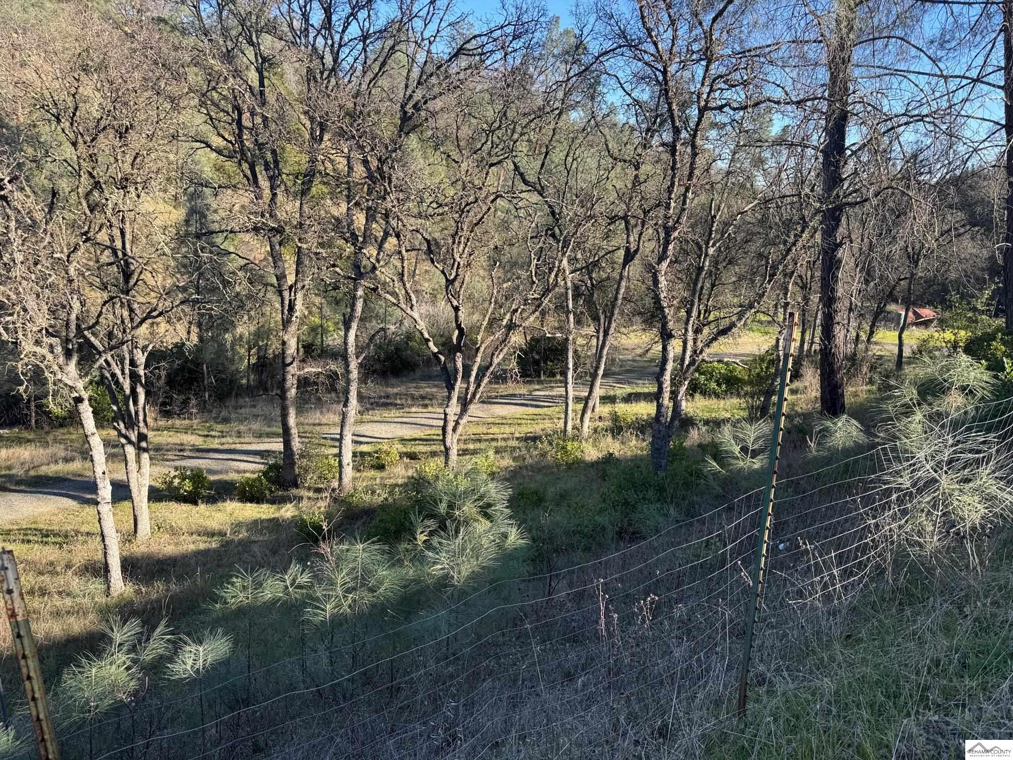16015 Apache Trail Corning, CA 96021 - Photo 6 of 21