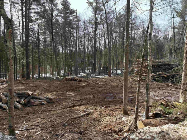 $70,000 | Presidential Drive, Washington, NH 03280