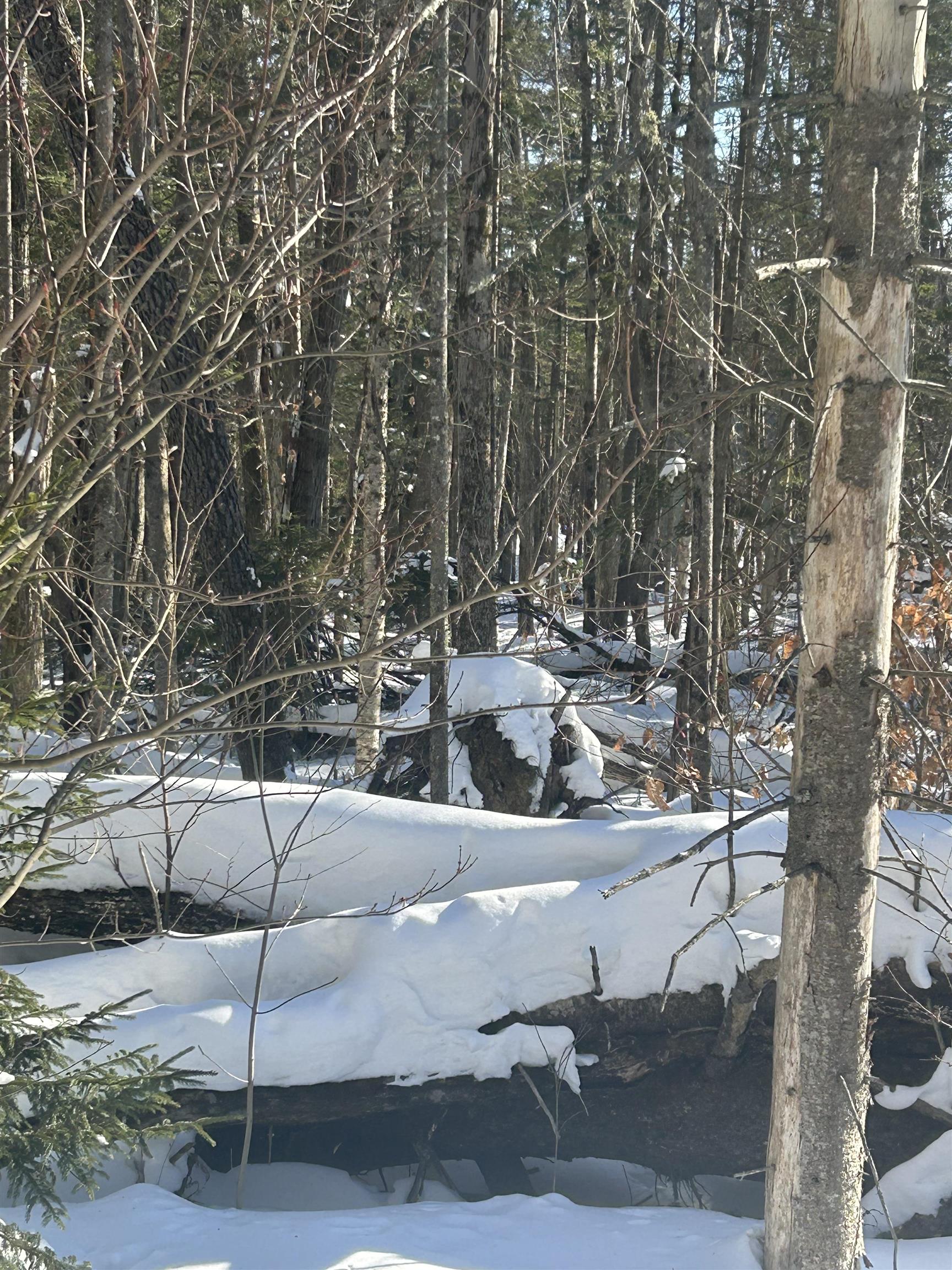 Presidential Drive Washington, NH 03280 - Photo 5 of 10