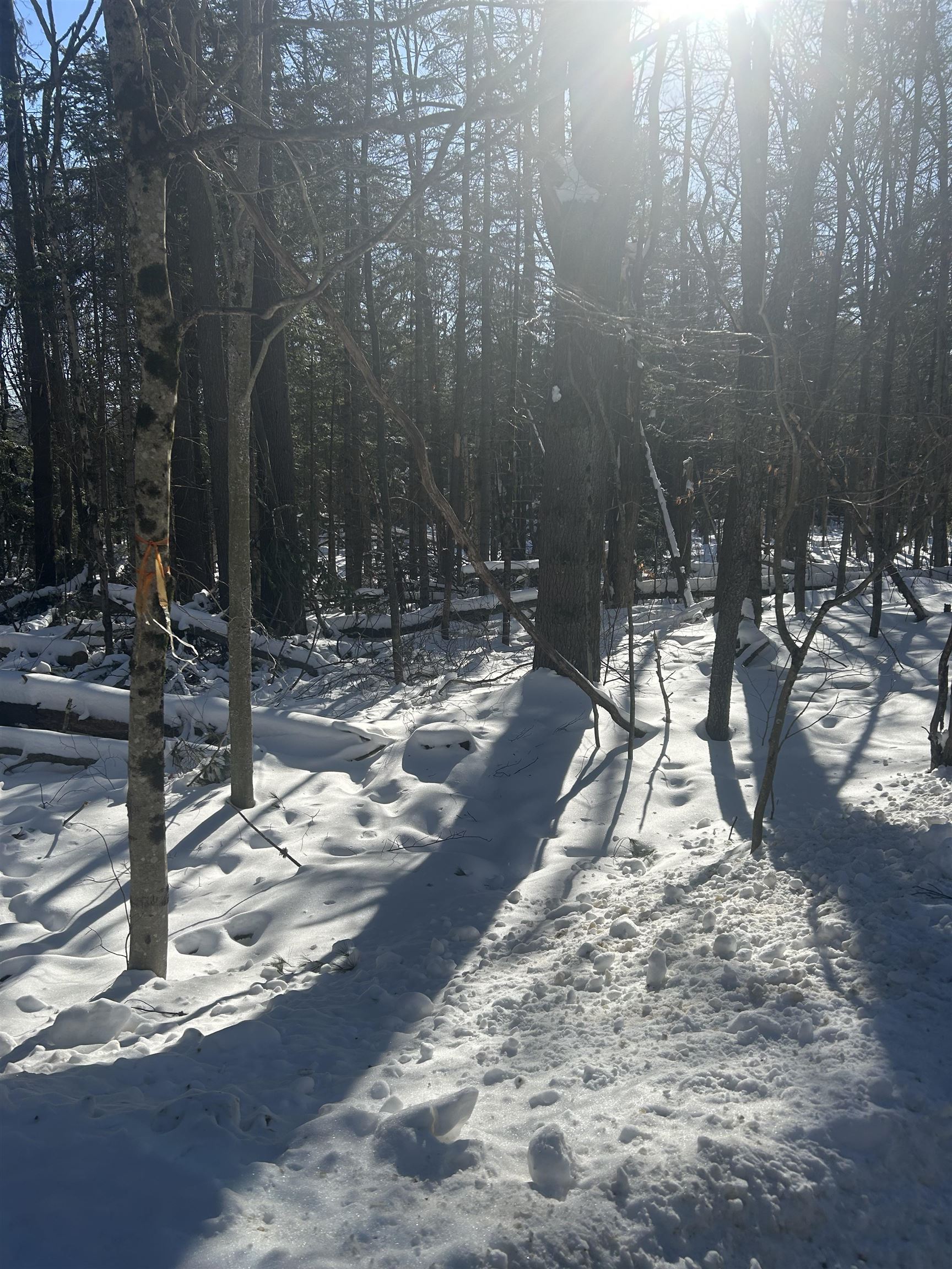Presidential Drive Washington, NH 03280 - Photo 6 of 10
