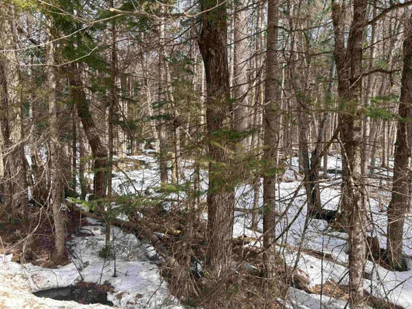 $70,000 | Presidential Drive, Washington, NH 03280