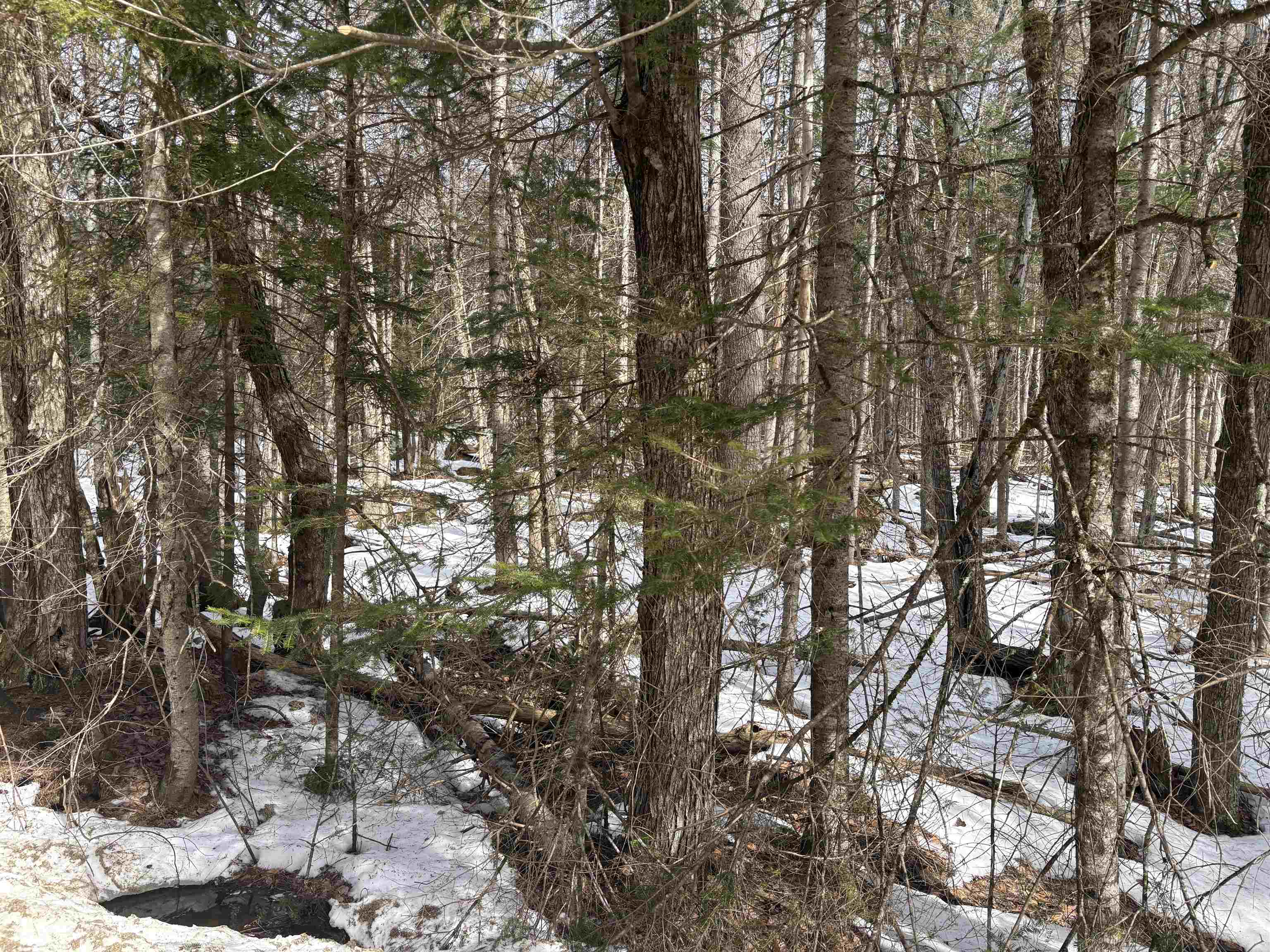 Presidential Drive Washington, NH 03280 - Photo 7 of 10