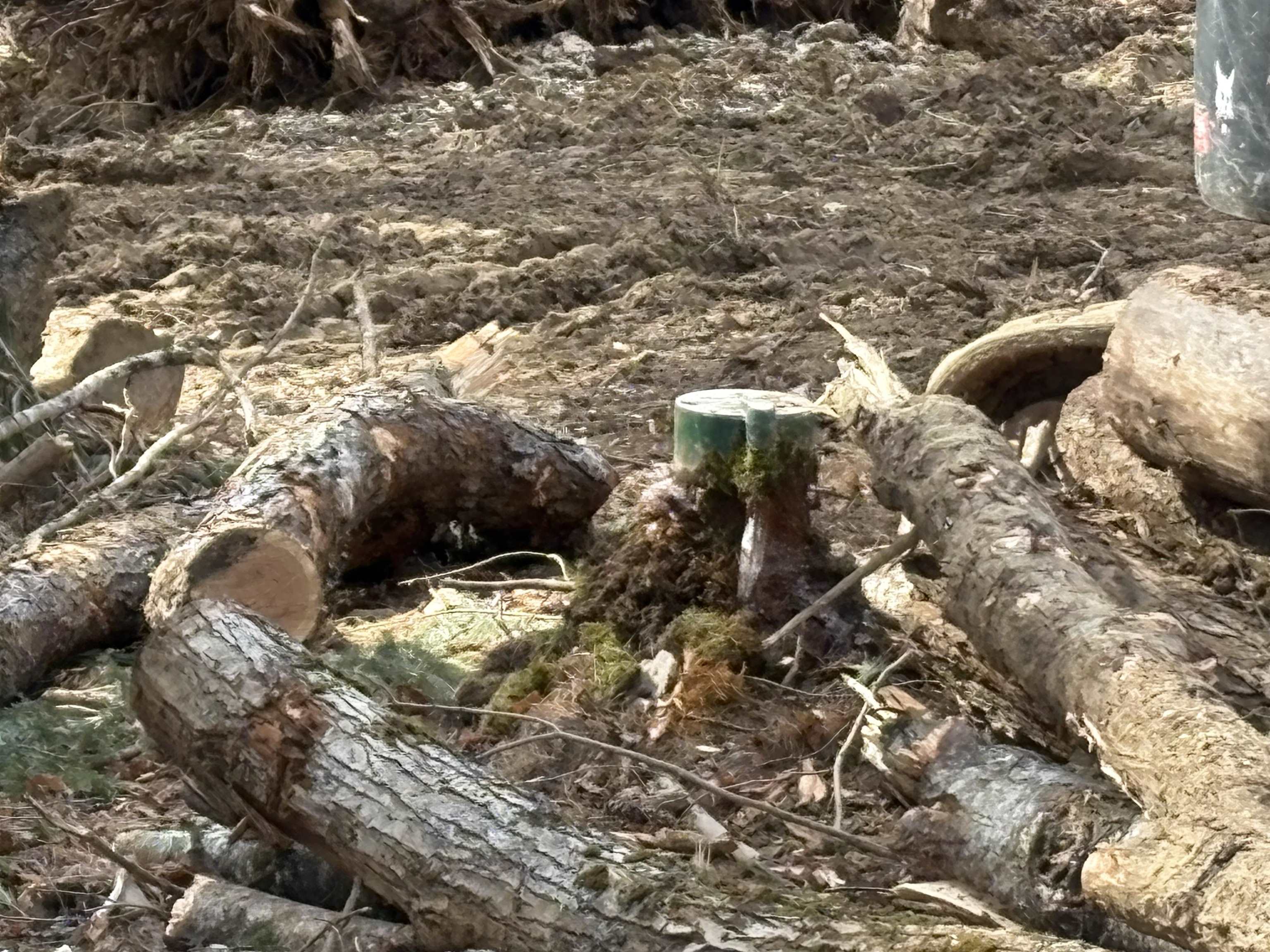 Presidential Drive Washington, NH 03280 - Photo 8 of 10