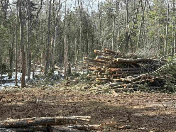 $70,000 | Presidential Drive, Washington, NH 03280