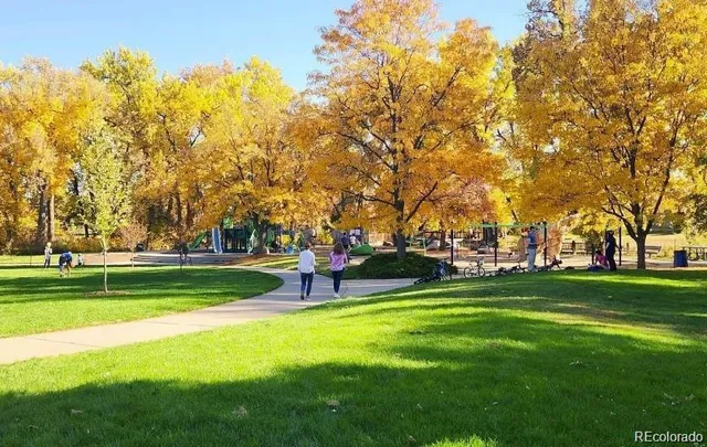 a ground with lots of trees and plants