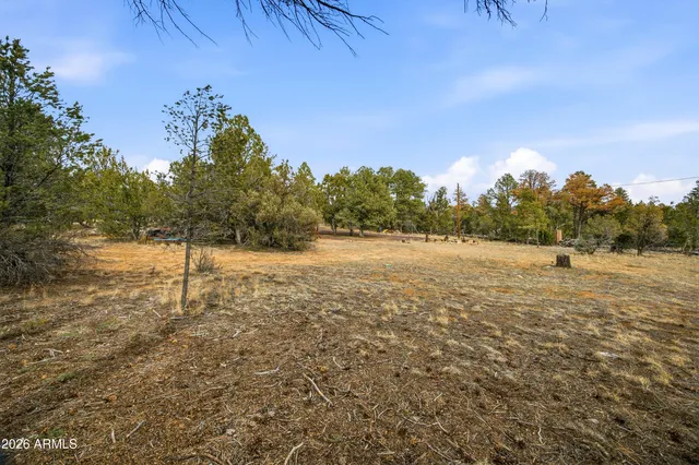 $315,000 | 3113 Whitetail Way, Overgaard, AZ 85933