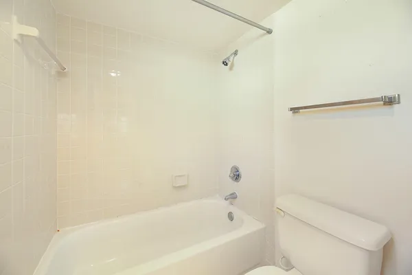 a bathroom with a bathtub and a toilet