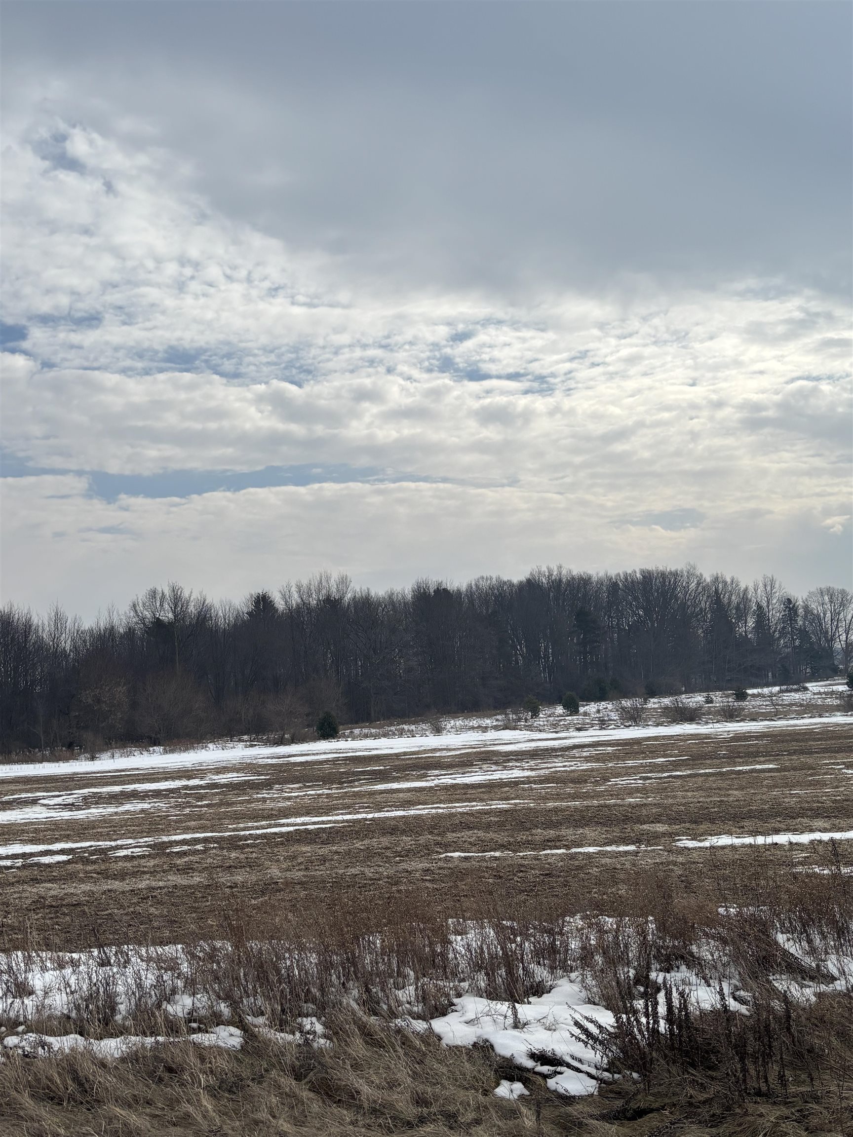 0 Pine Ridge Drive, Unit LOT: 28 Mount Pleasant, MI 48858 - Photo 5 of 7