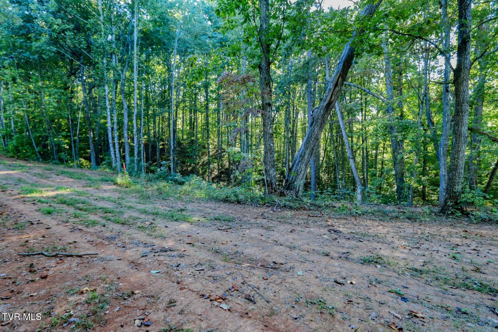 142 Delicious Way, Unit 38 Newport, TN 37821 - Photo 12 of 27 12 (Large)