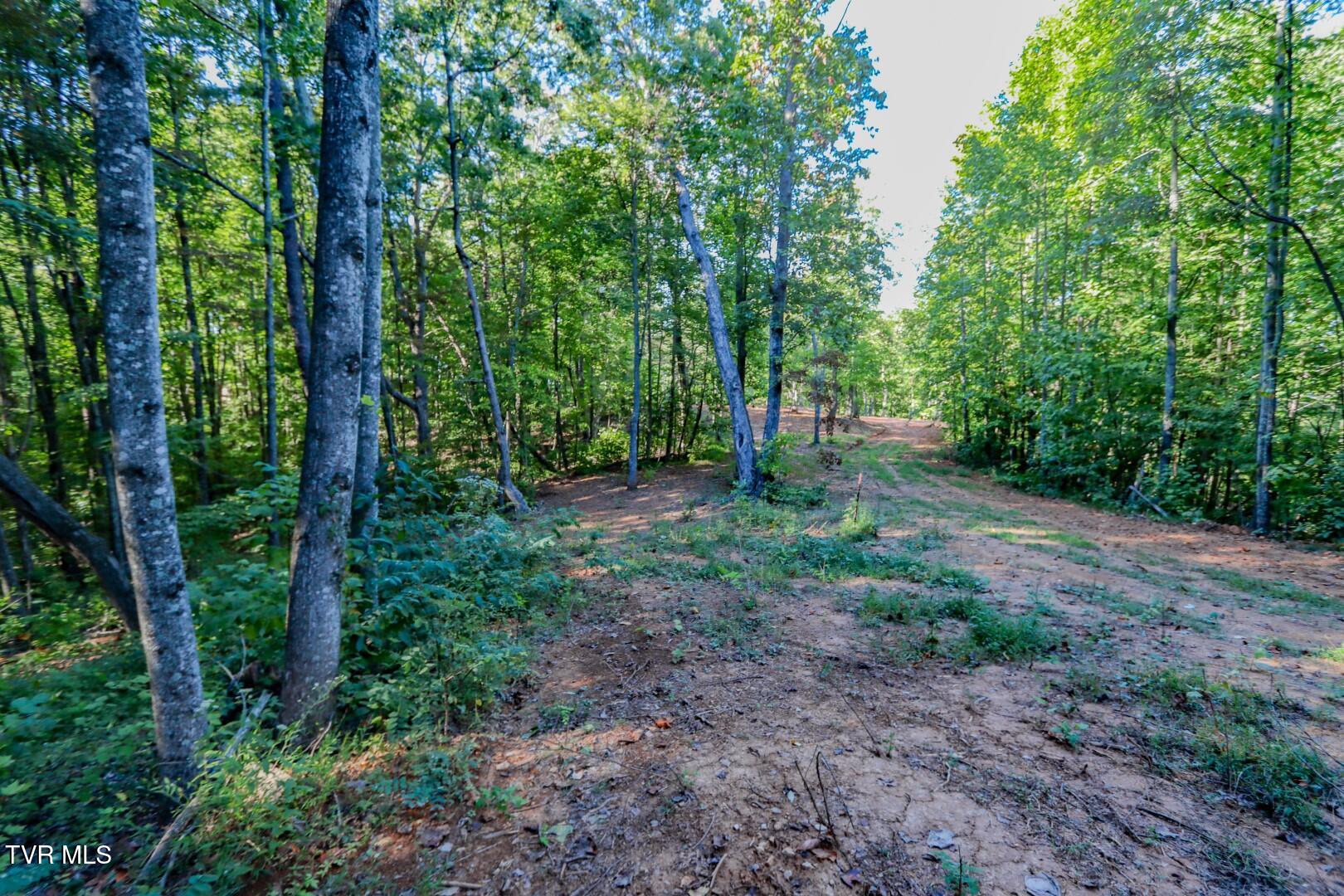 142 Delicious Way, Unit 38 Newport, TN 37821 - Photo 14 of 27 14